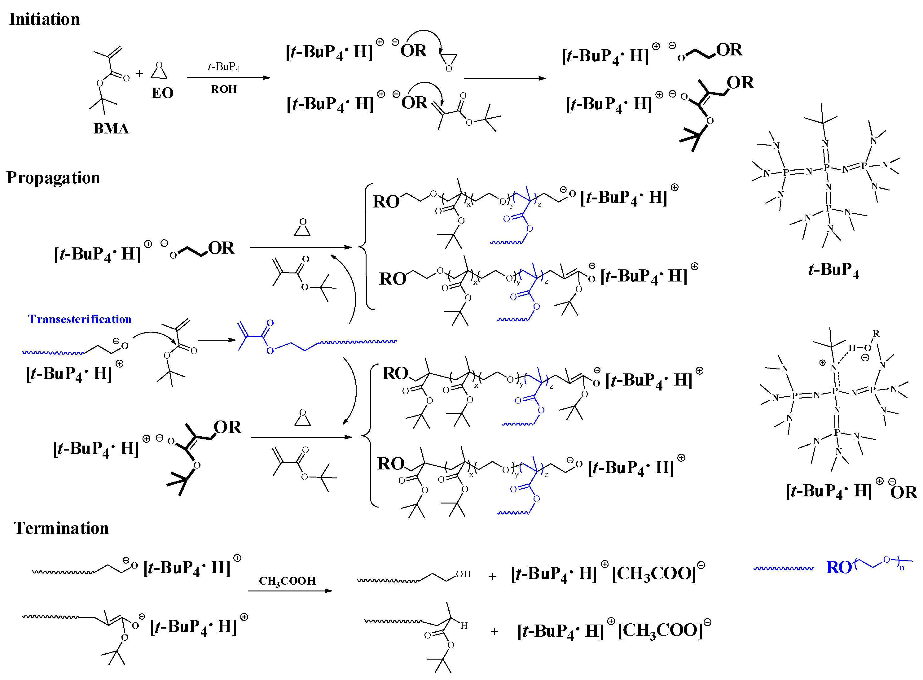 Polymers 13 02546 sch002