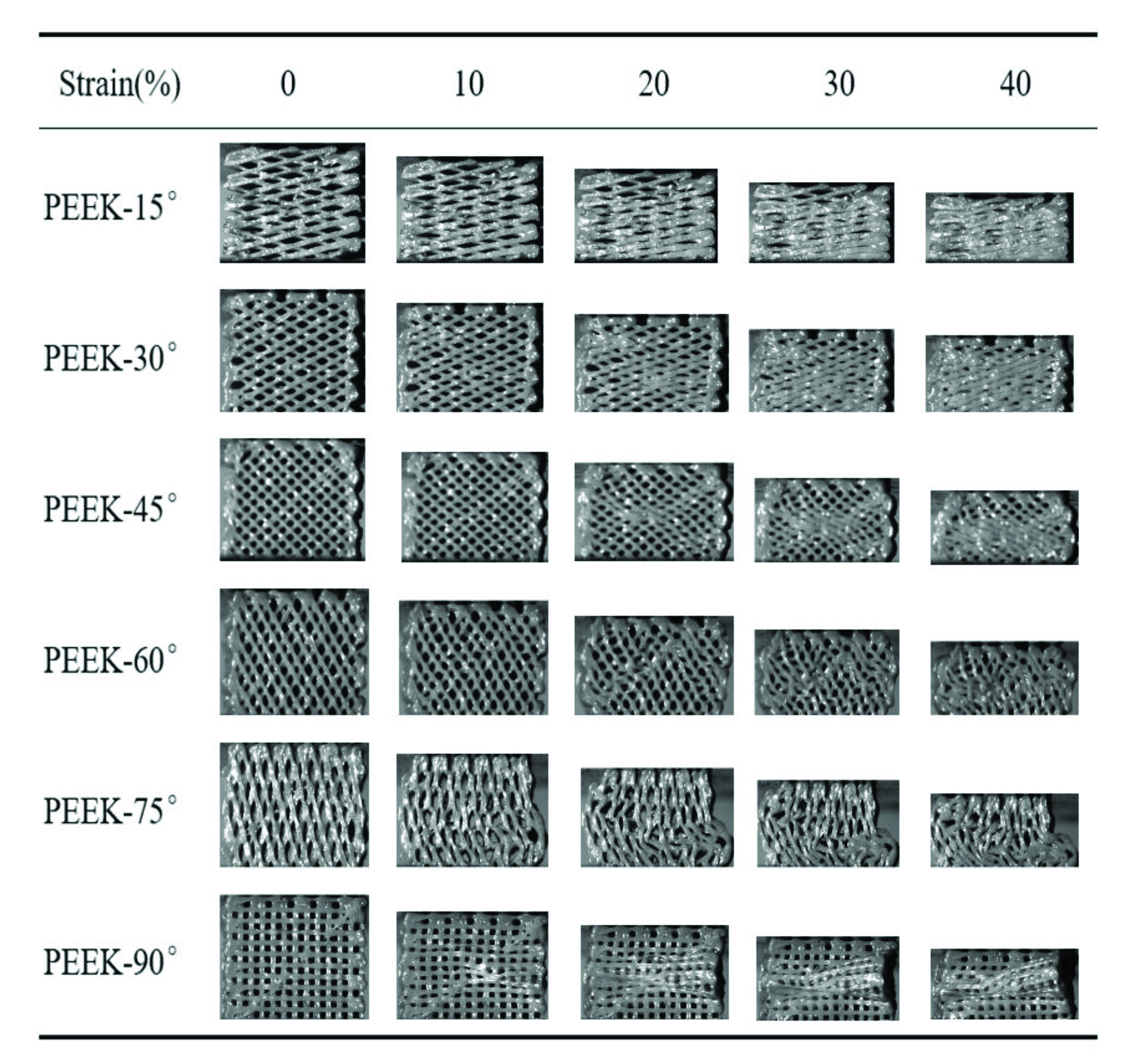Polymers 13 02547 g005