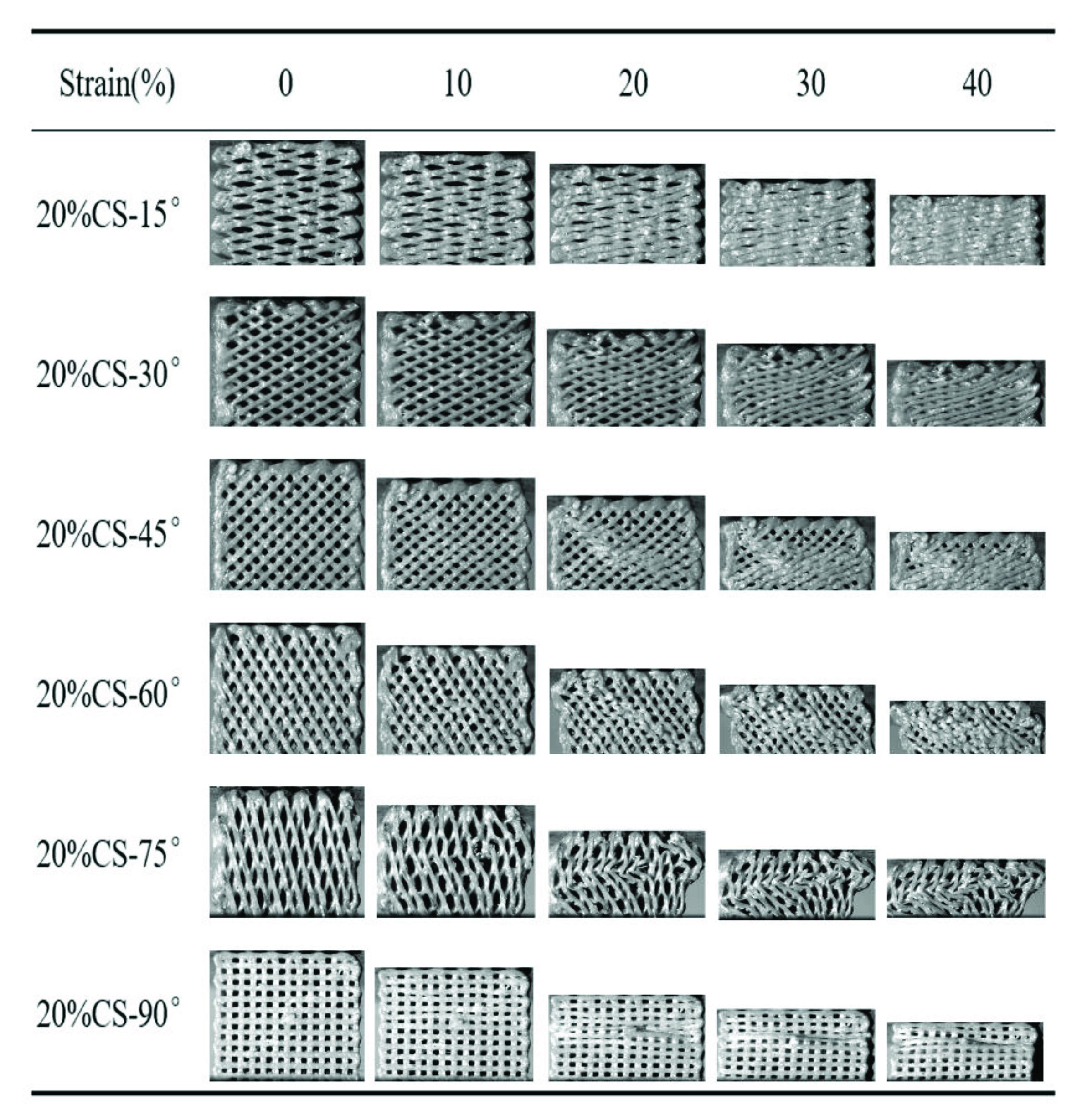 Polymers 13 02547 g006
