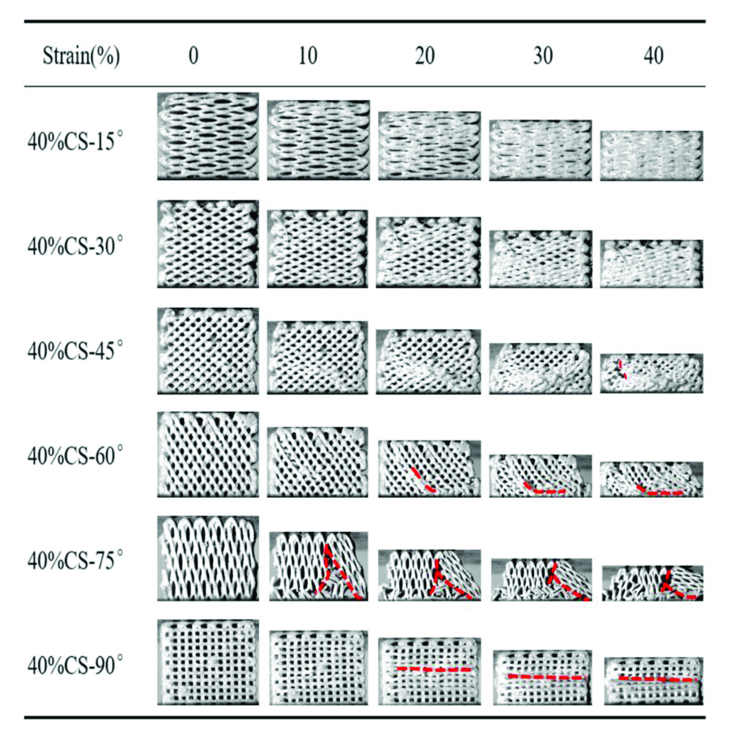 Polymers 13 02547 g007