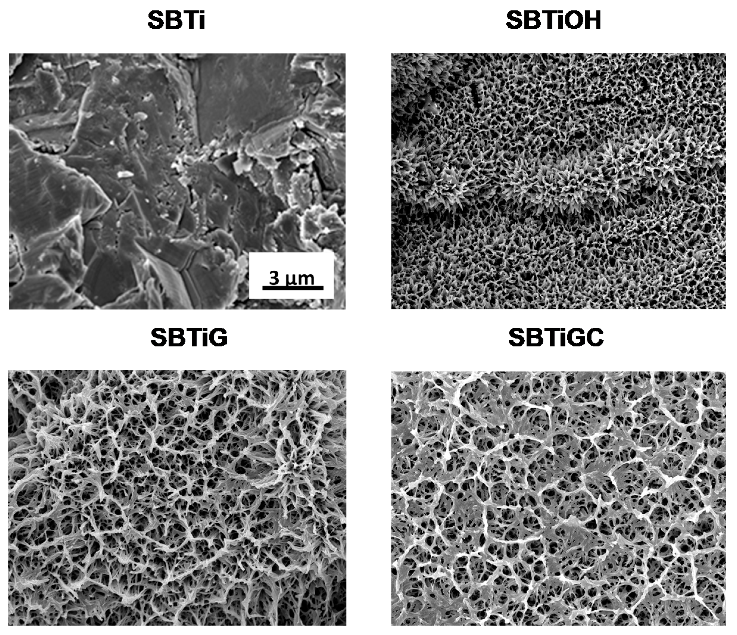 Polymers 13 02550 g001