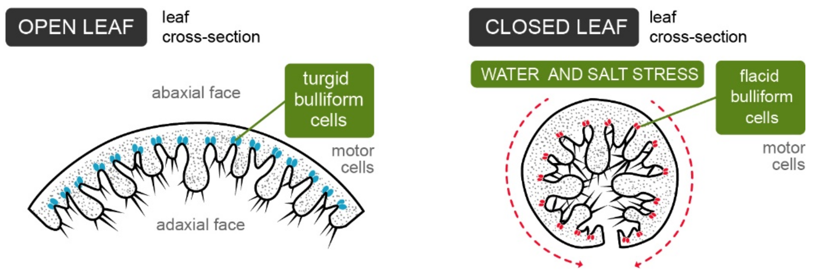 Polymers 13 02554 g005 Polymers 13 02554 g005