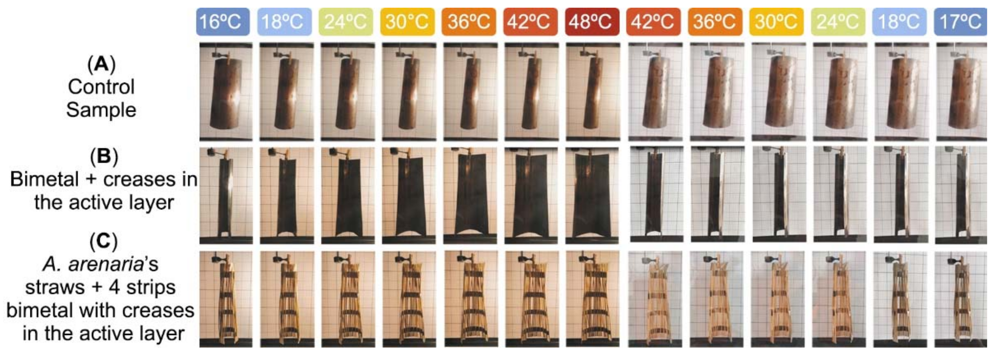 Polymers 13 02554 g015 Polymers 13 02554 g015