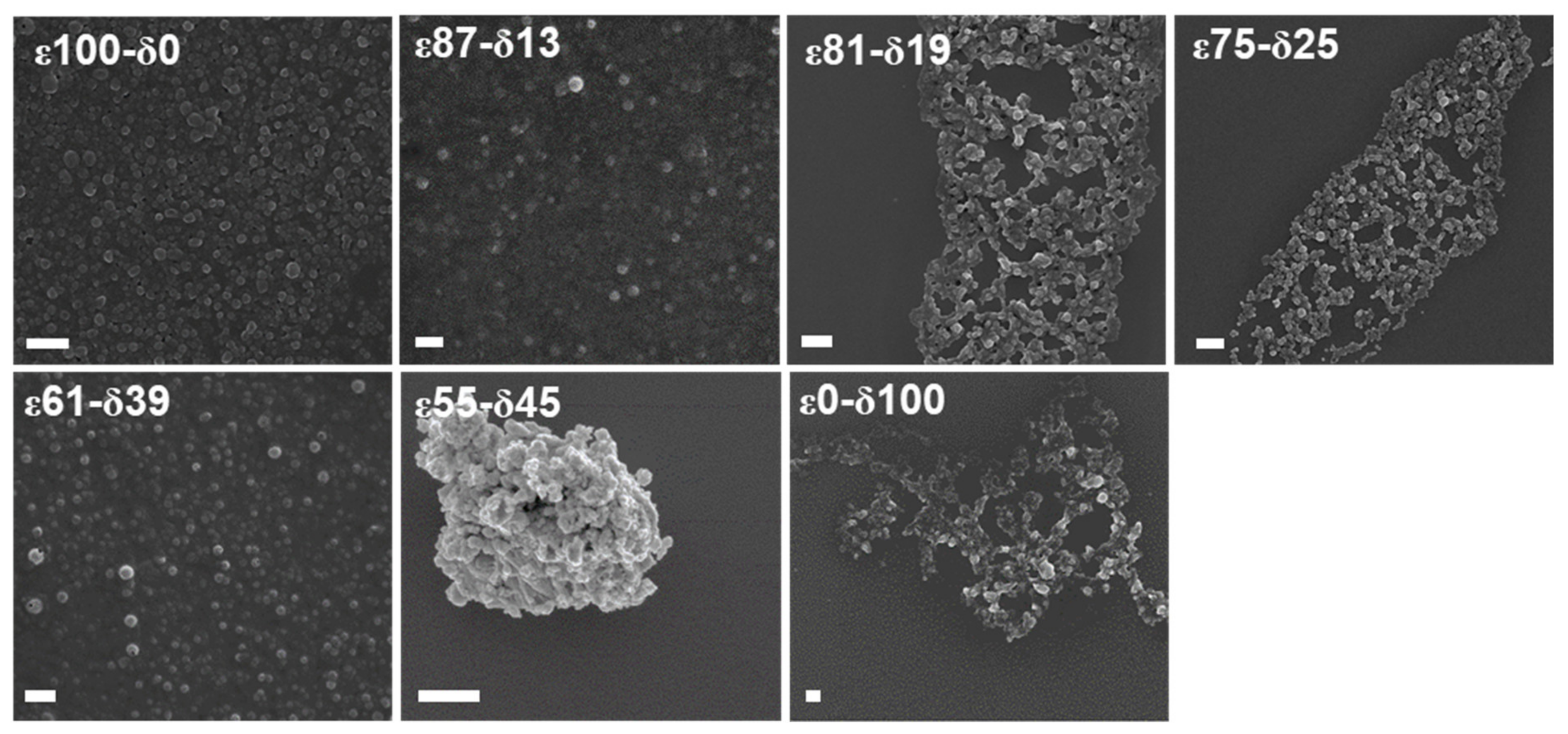 Polymers 13 02557 g001