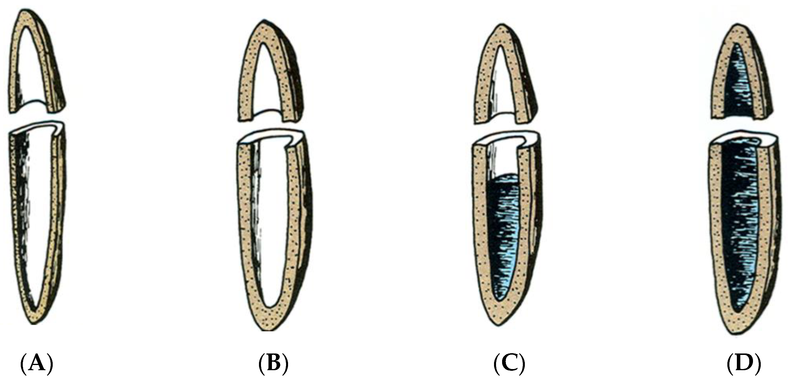 Polymers 13 02558 g002 Polymers 13 02558 g002