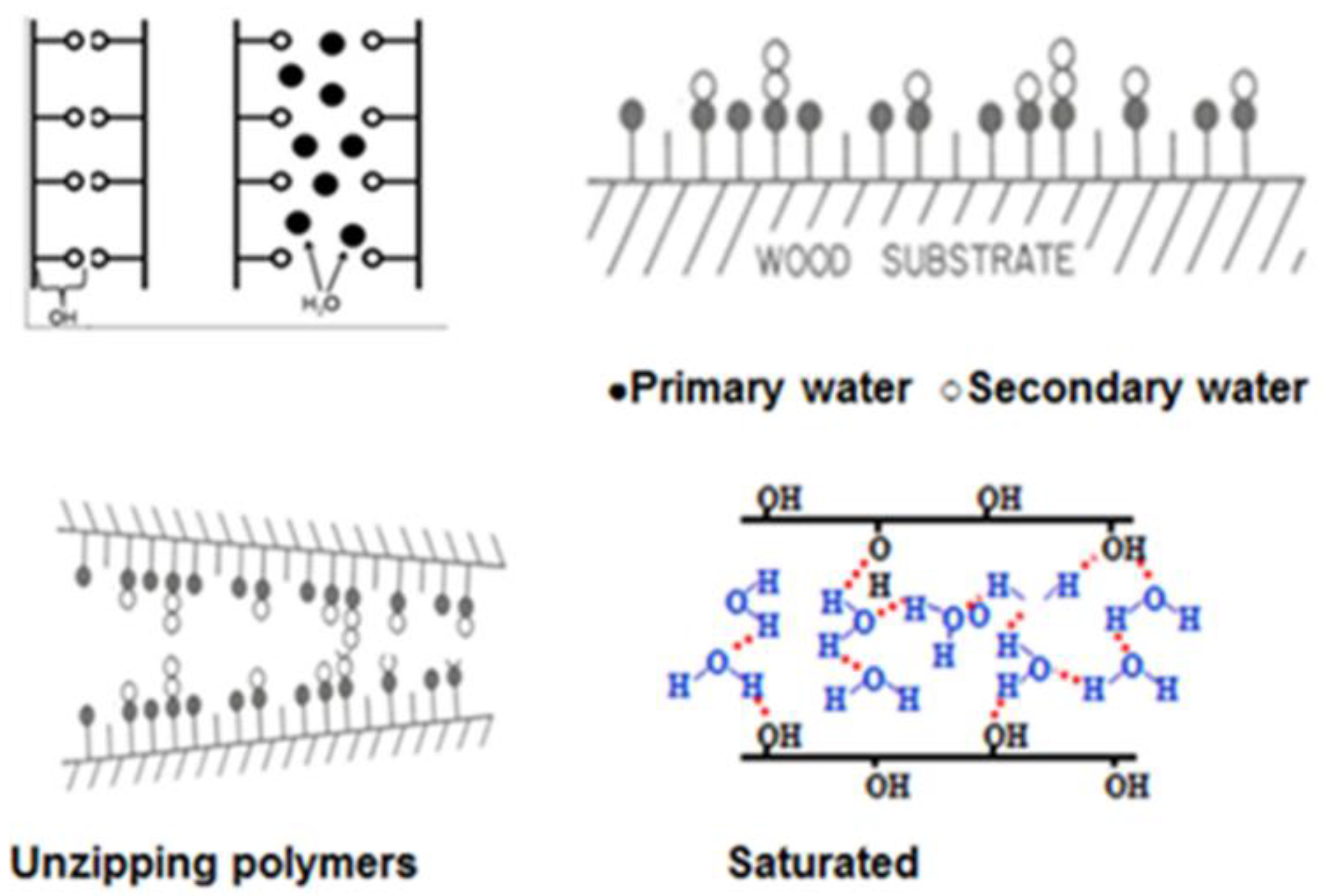 Polymers 13 02558 g003 Polymers 13 02558 g003