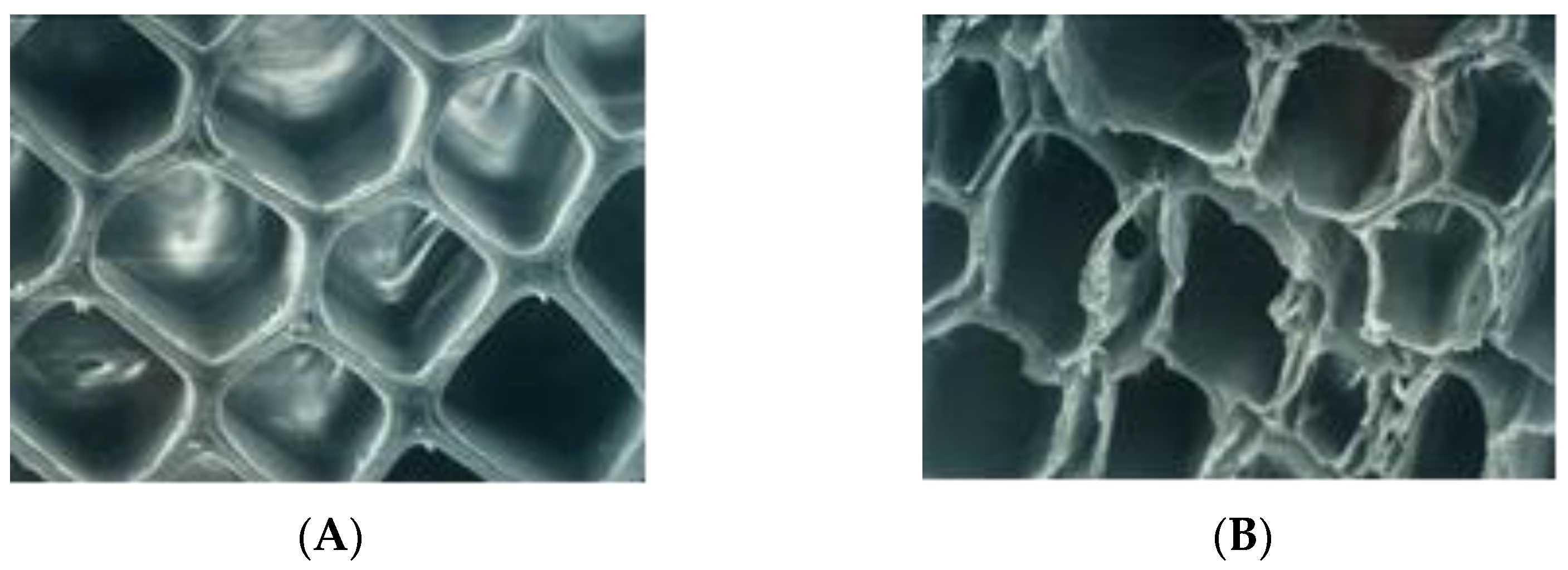 Polymers 13 02558 g008 Polymers 13 02558 g008