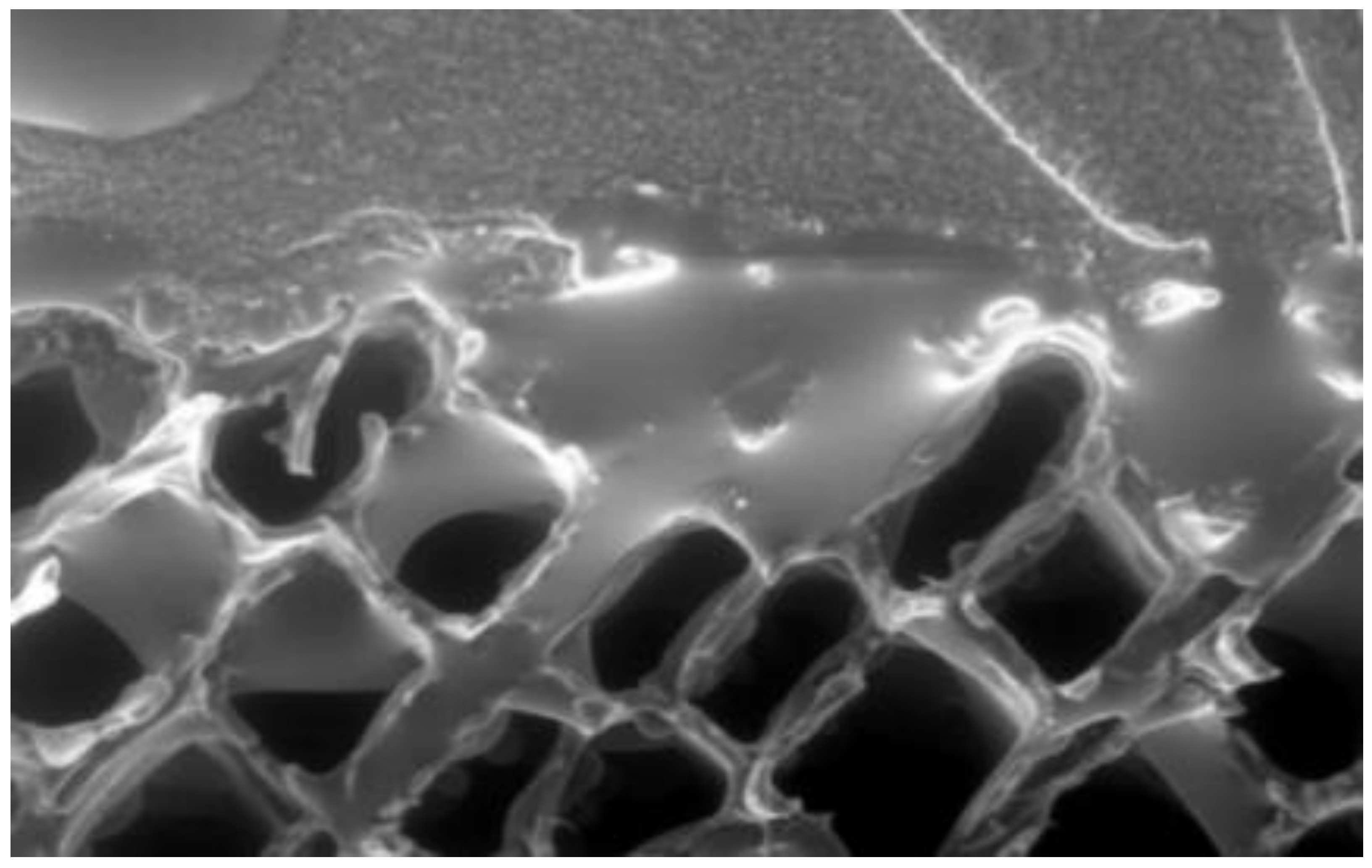 Polymers 13 02558 g015 Polymers 13 02558 g015