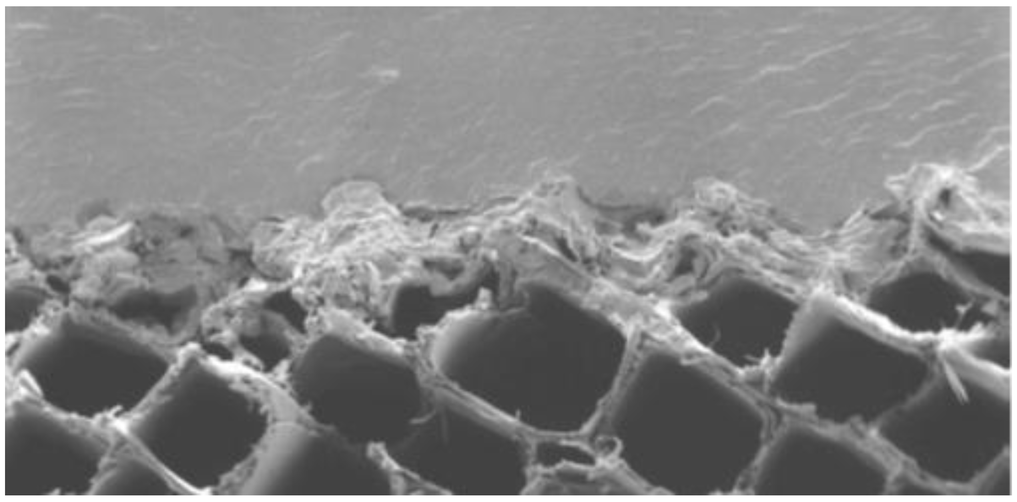 Polymers 13 02558 g016 Polymers 13 02558 g016