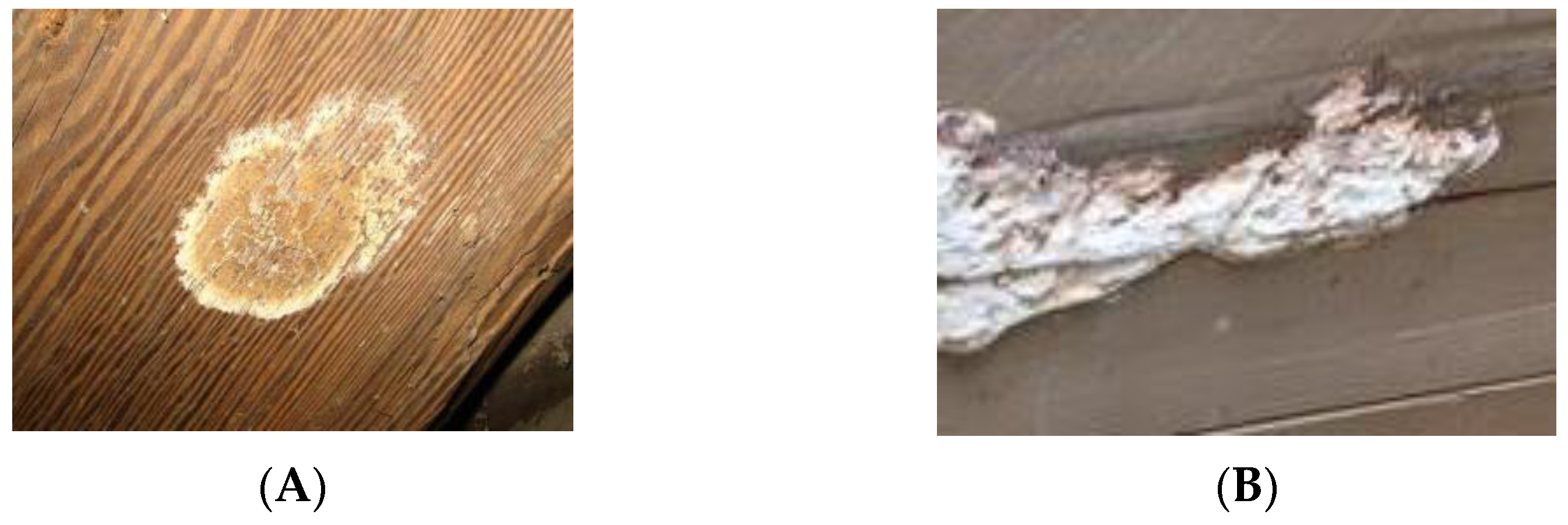 Polymers 13 02558 g020 Polymers 13 02558 g020