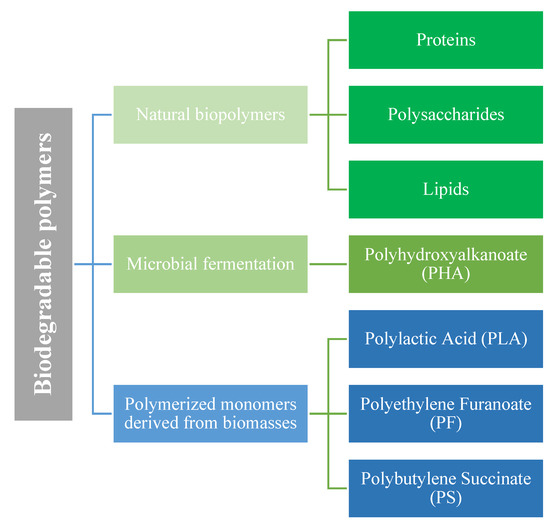 News - Halal Gelatin Types and Benefits: A Comprehensive Overview