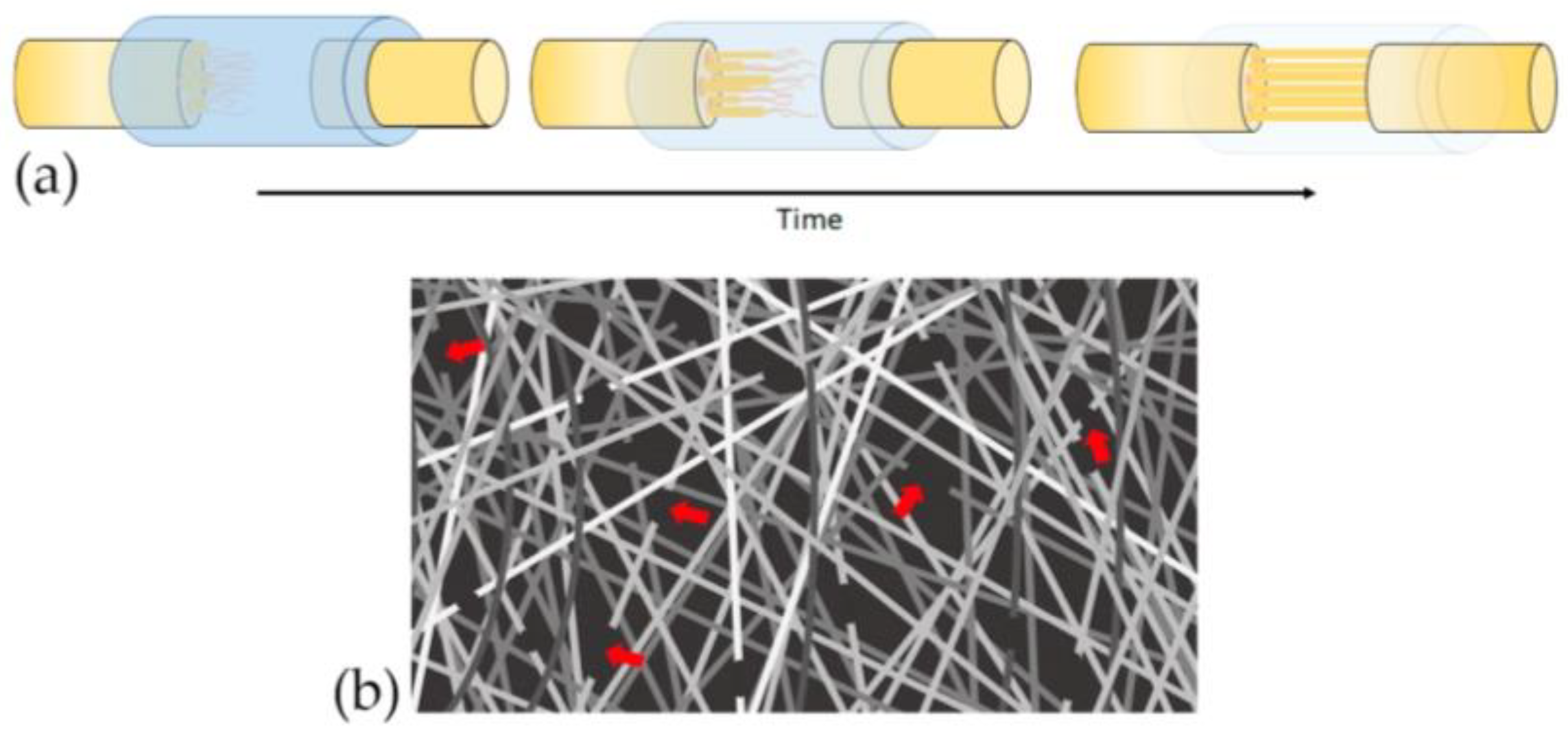 Polymers 13 02563 g003