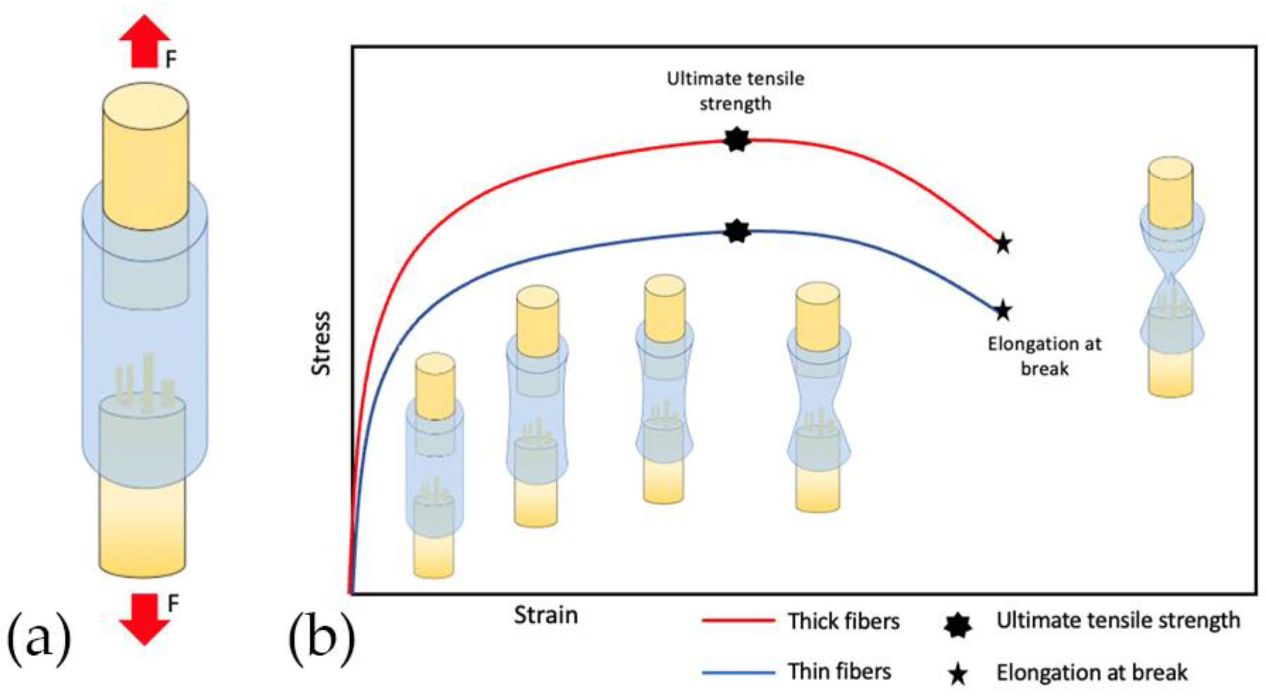 Polymers 13 02563 g007