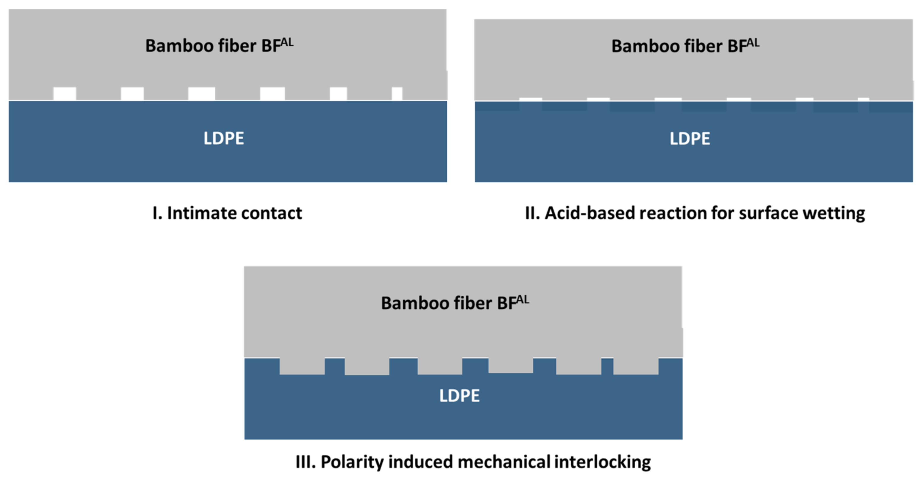 Polymers 13 02564 g004