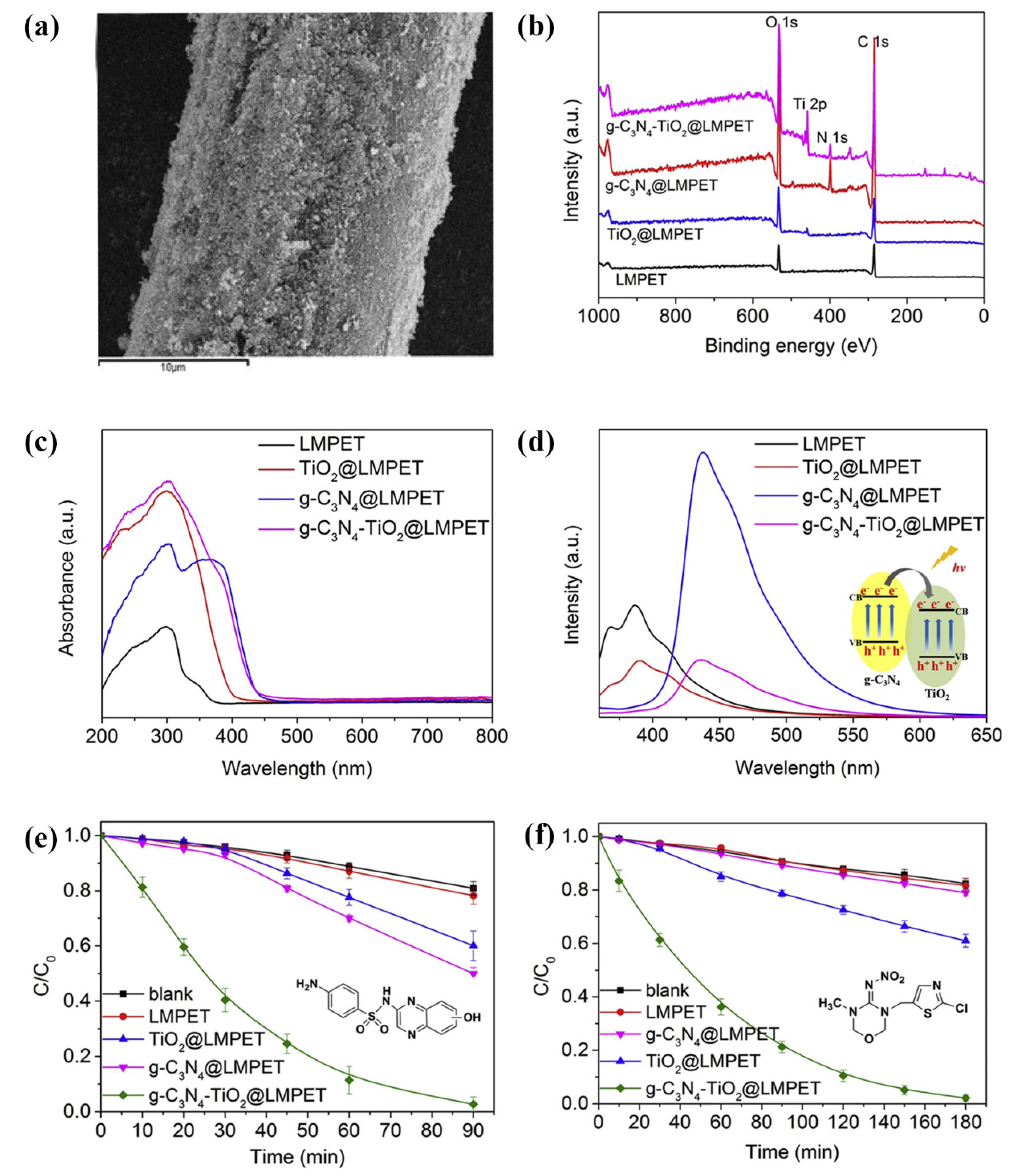 Polymers 13 02568 g012 550