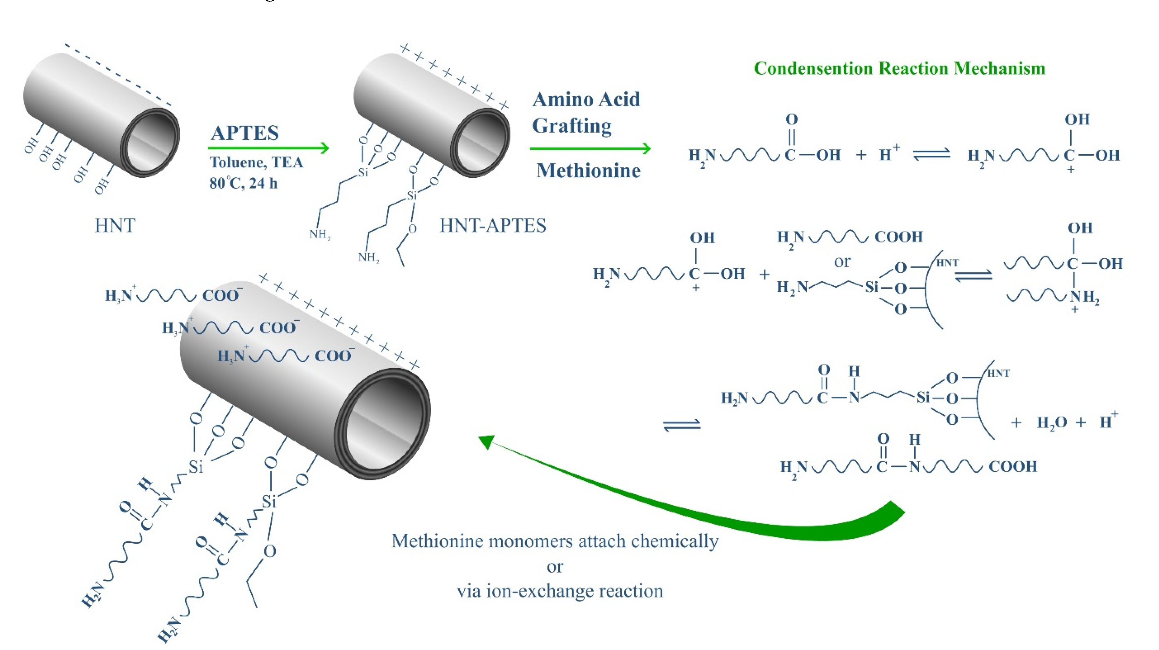 Polymers 13 02576 g001