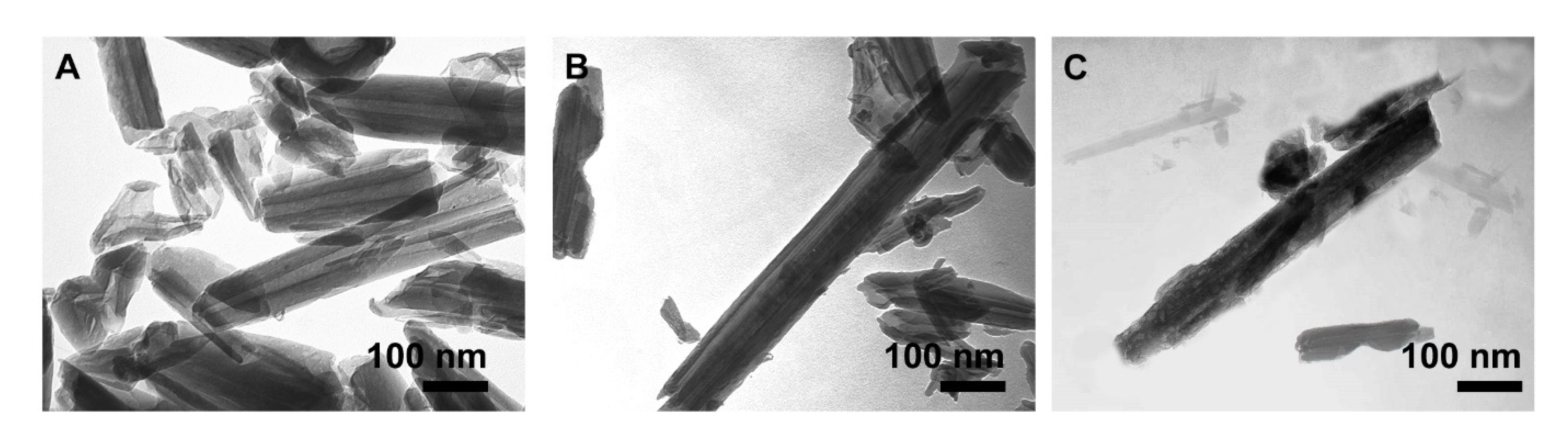 Polymers 13 02576 g007