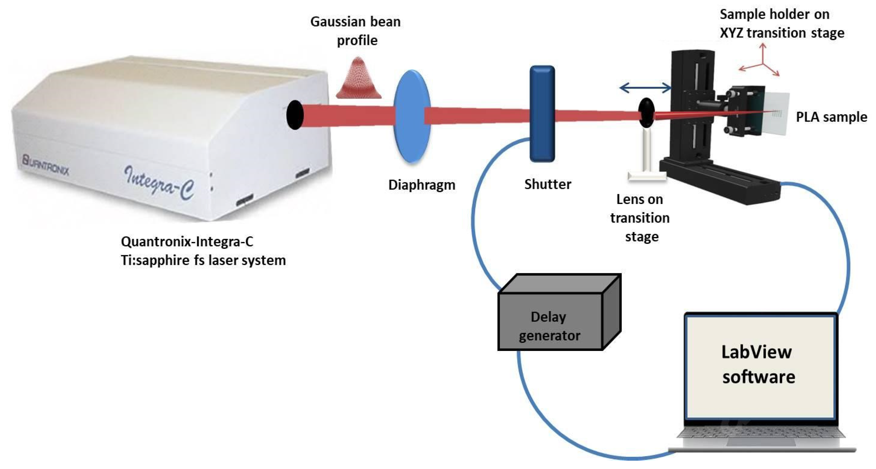 Polymers 13 02577 g001