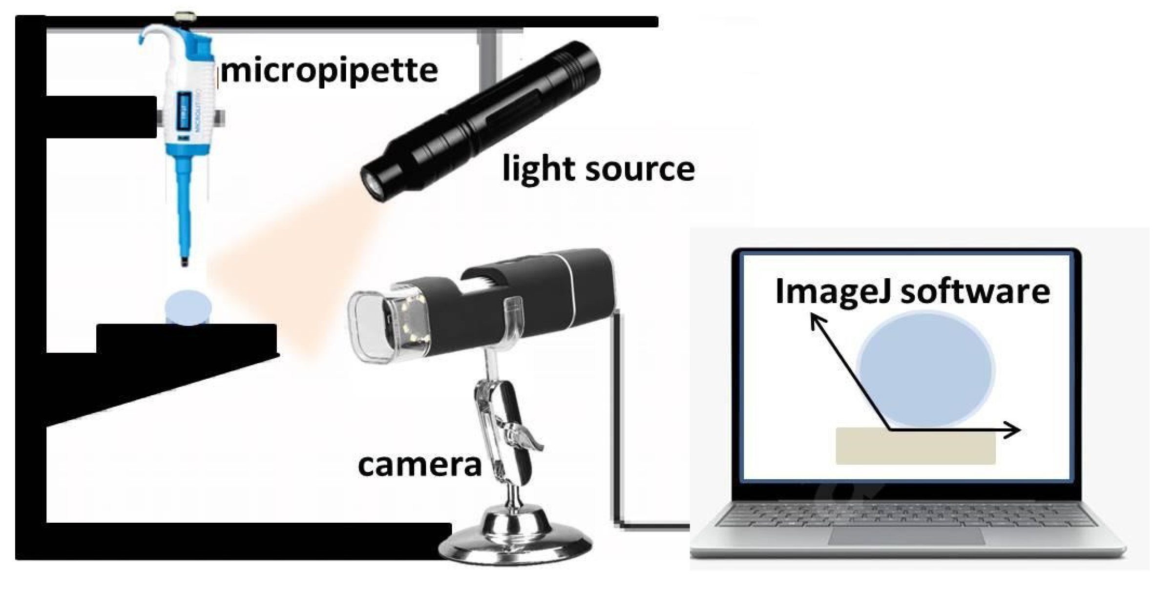 Polymers 13 02577 g002