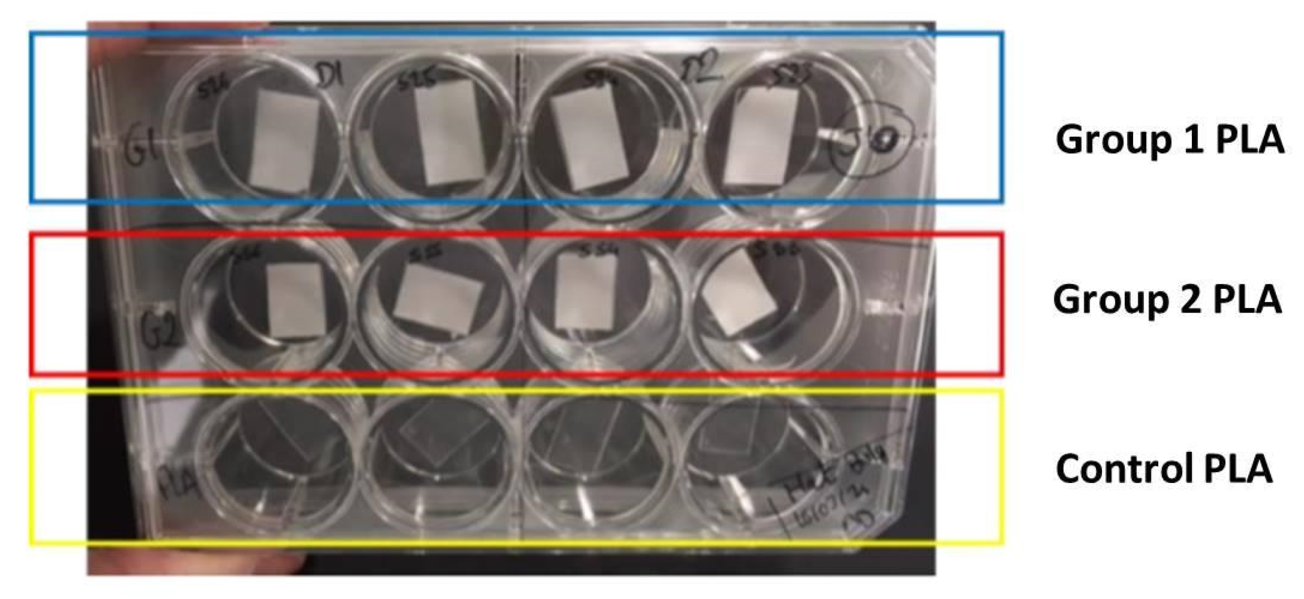 Polymers 13 02577 g003