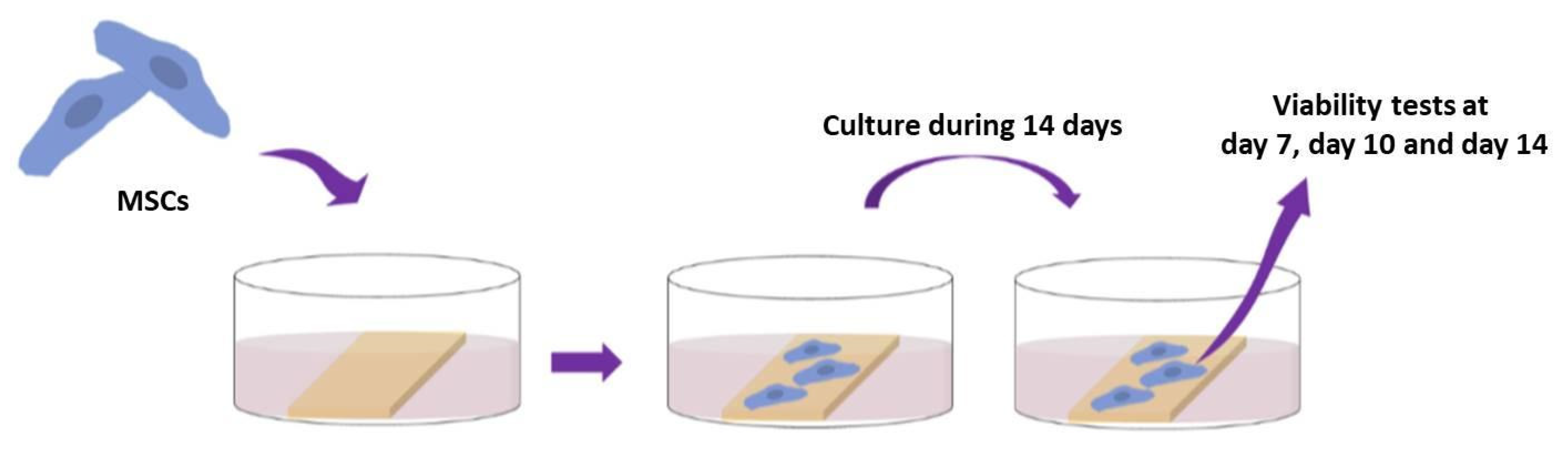 Polymers 13 02577 g004
