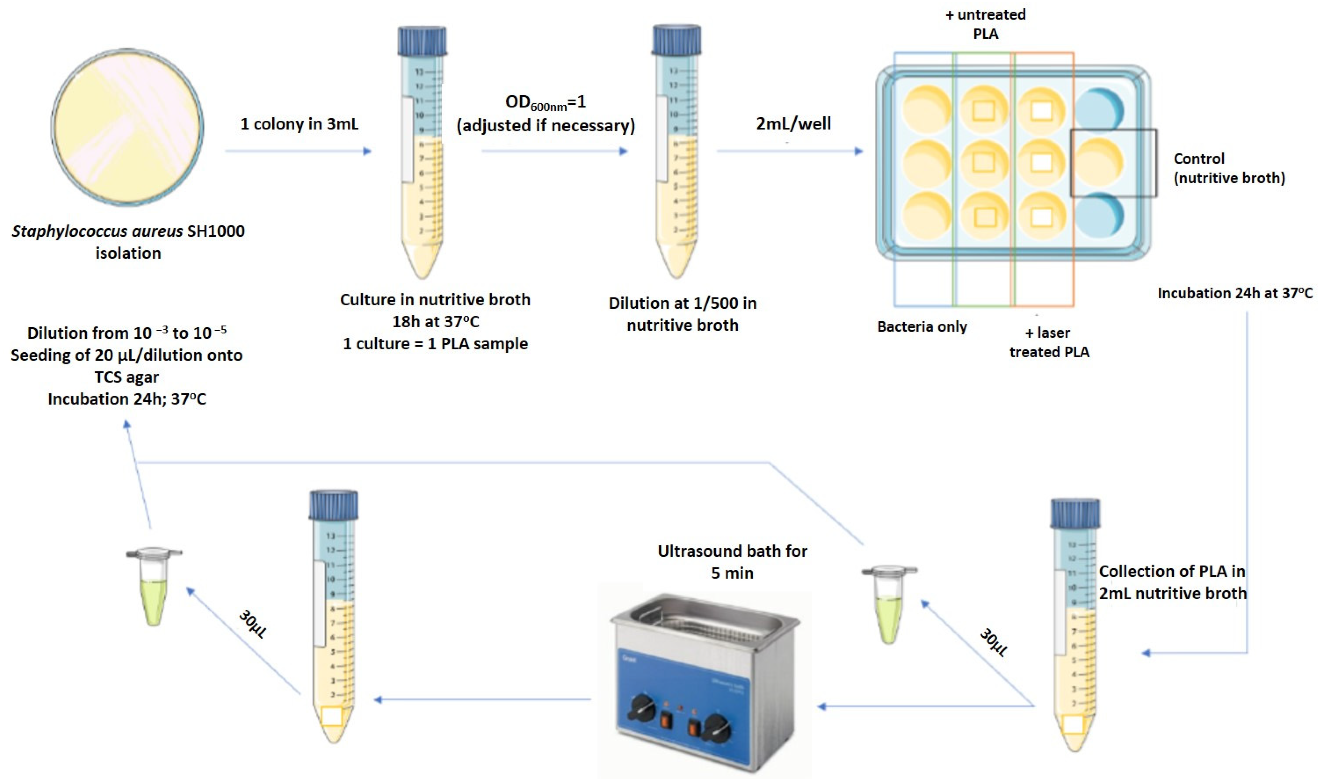 Polymers 13 02577 g005