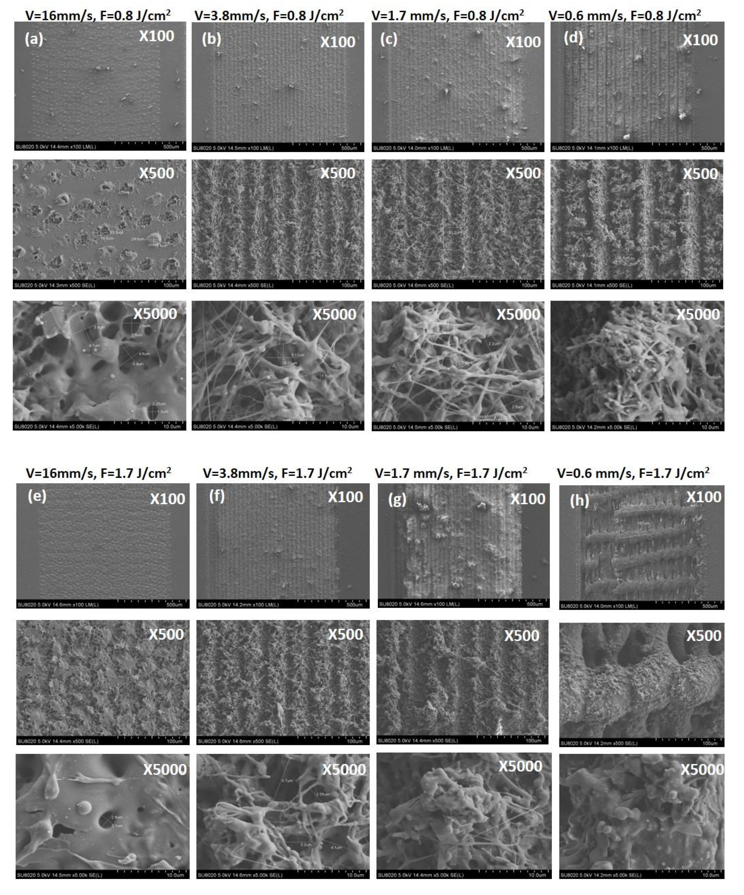 Polymers 13 02577 g006