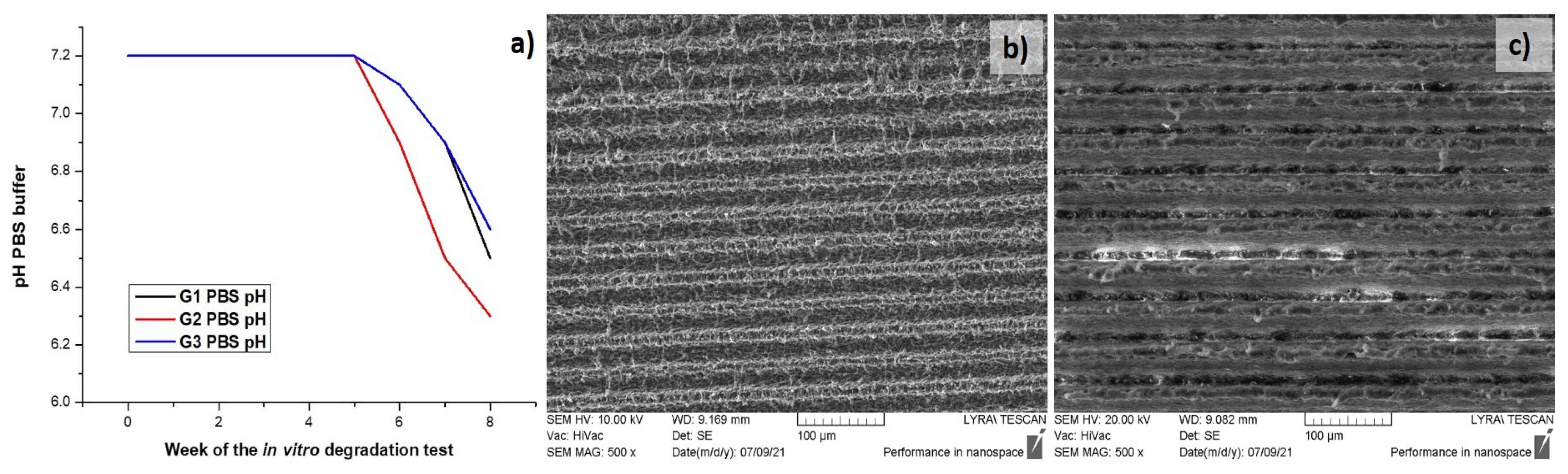 Polymers 13 02577 g013