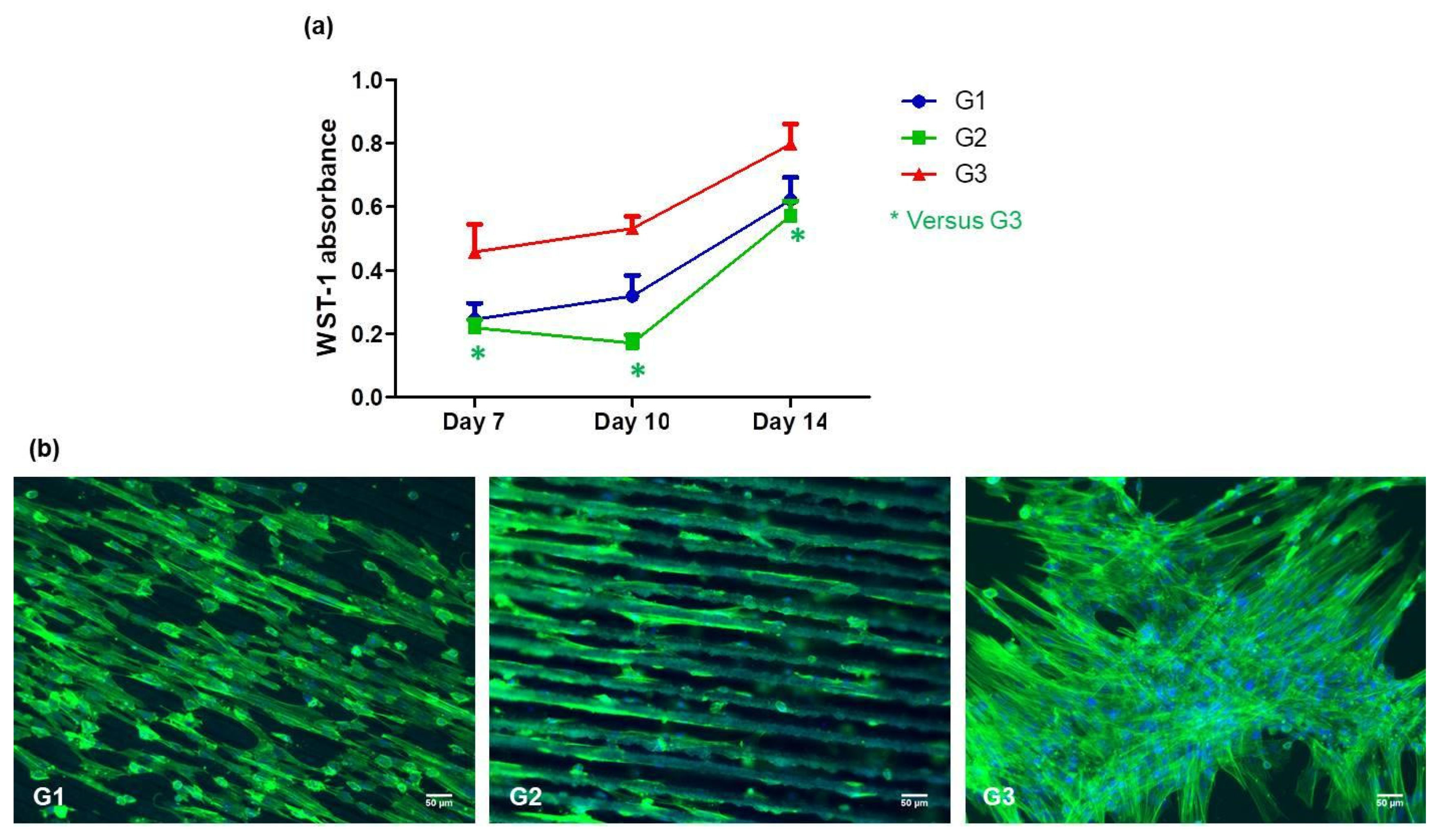 Polymers 13 02577 g015