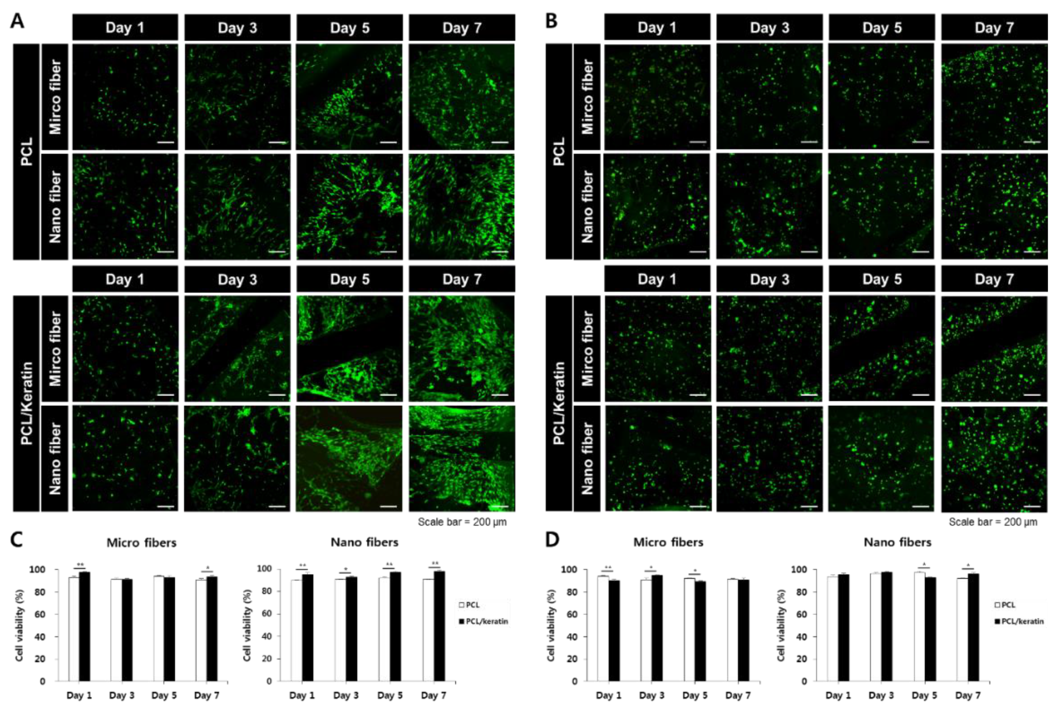 Polymers 13 02584 g003