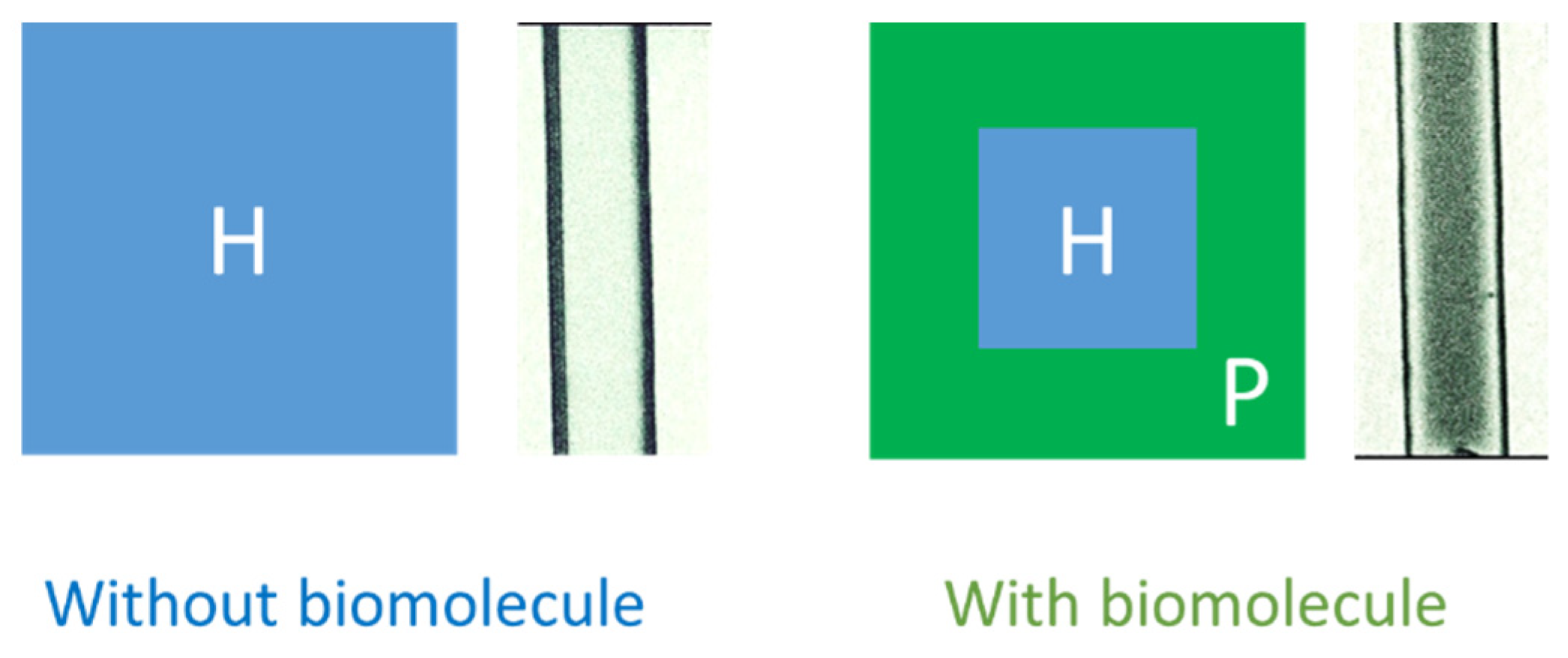 Polymers 13 02587 g002 550