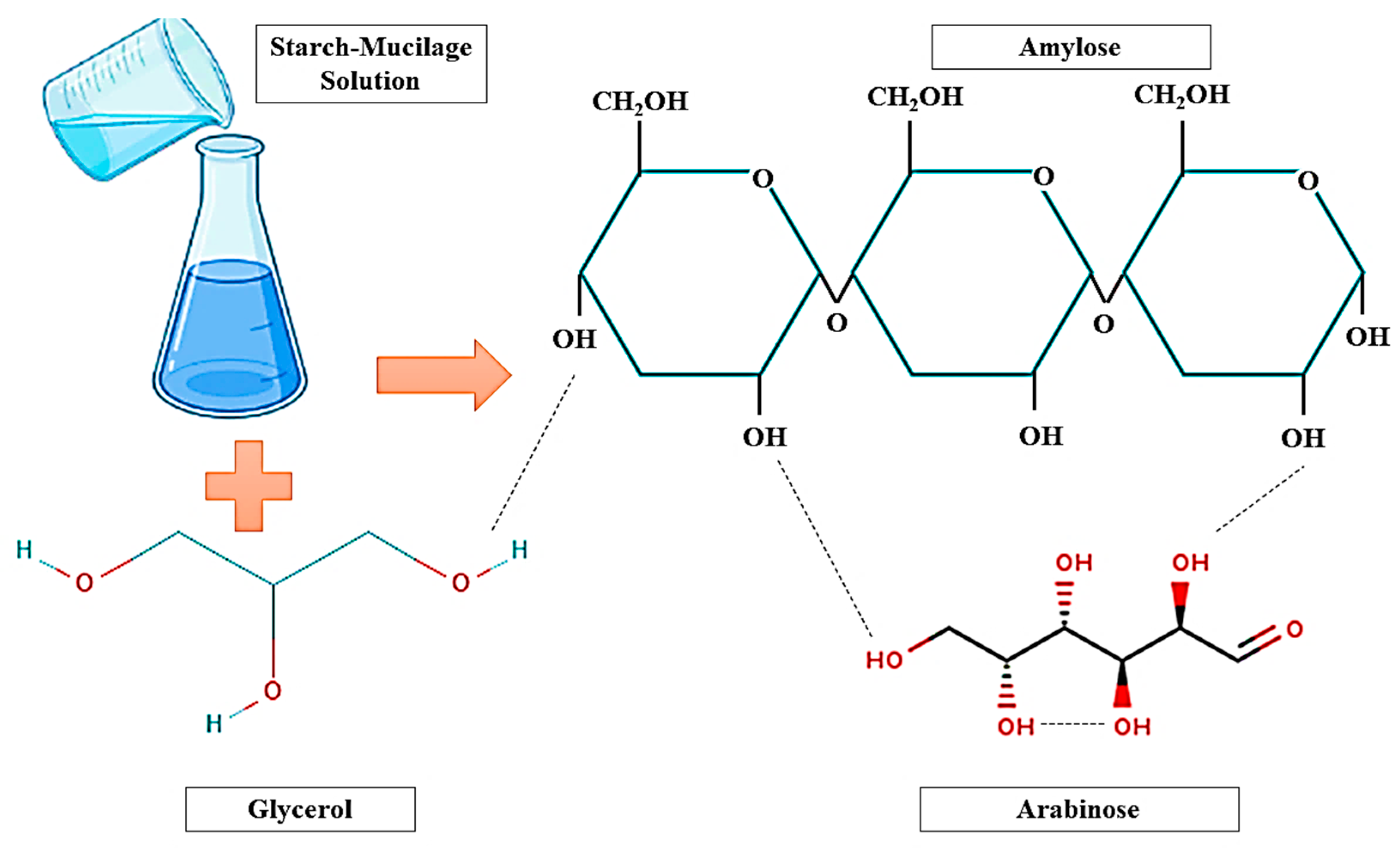 Polymers 13 02588 g002 550
