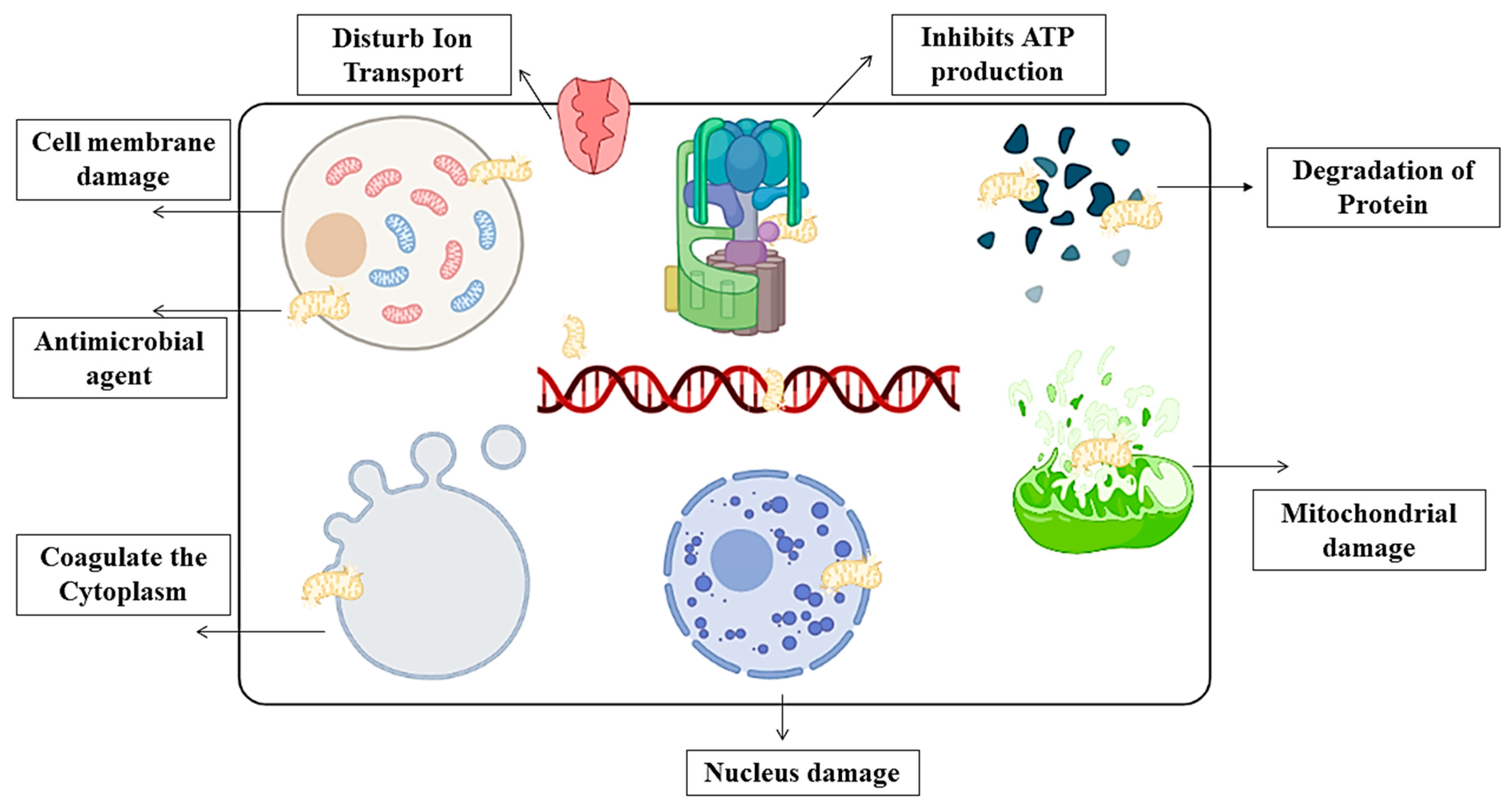 Polymers 13 02588 g004 550