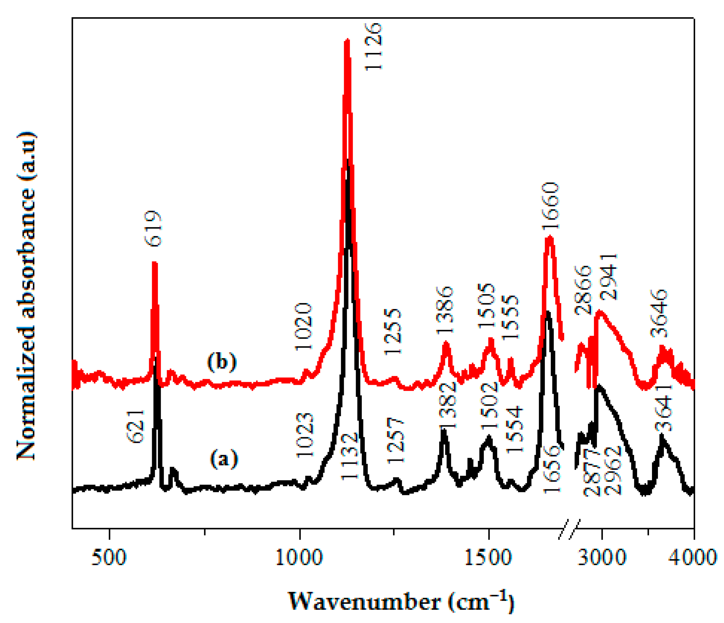 Polymers 13 02595 g001 Polymers 13 02595 g001