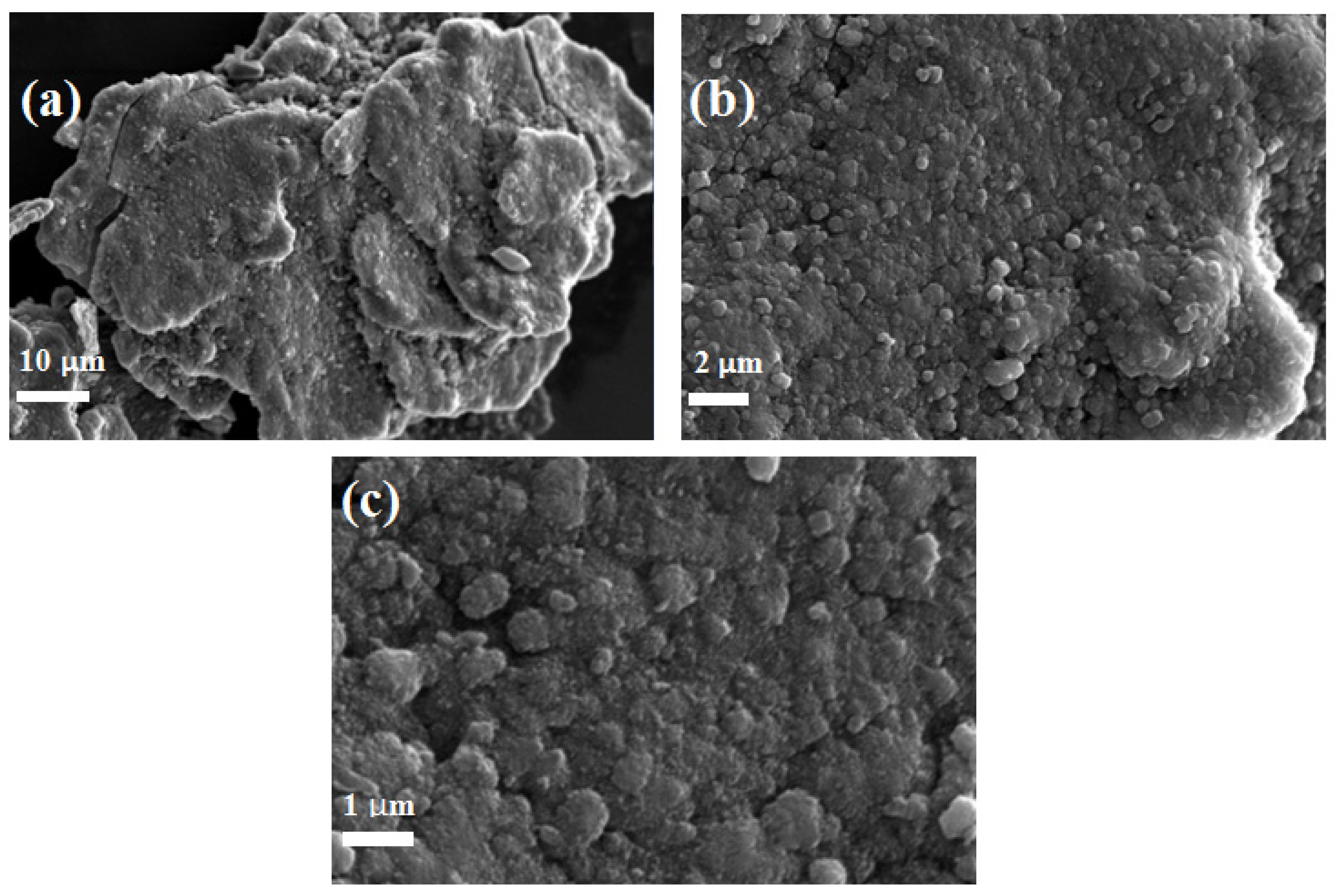 Polymers 13 02595 g002 Polymers 13 02595 g002