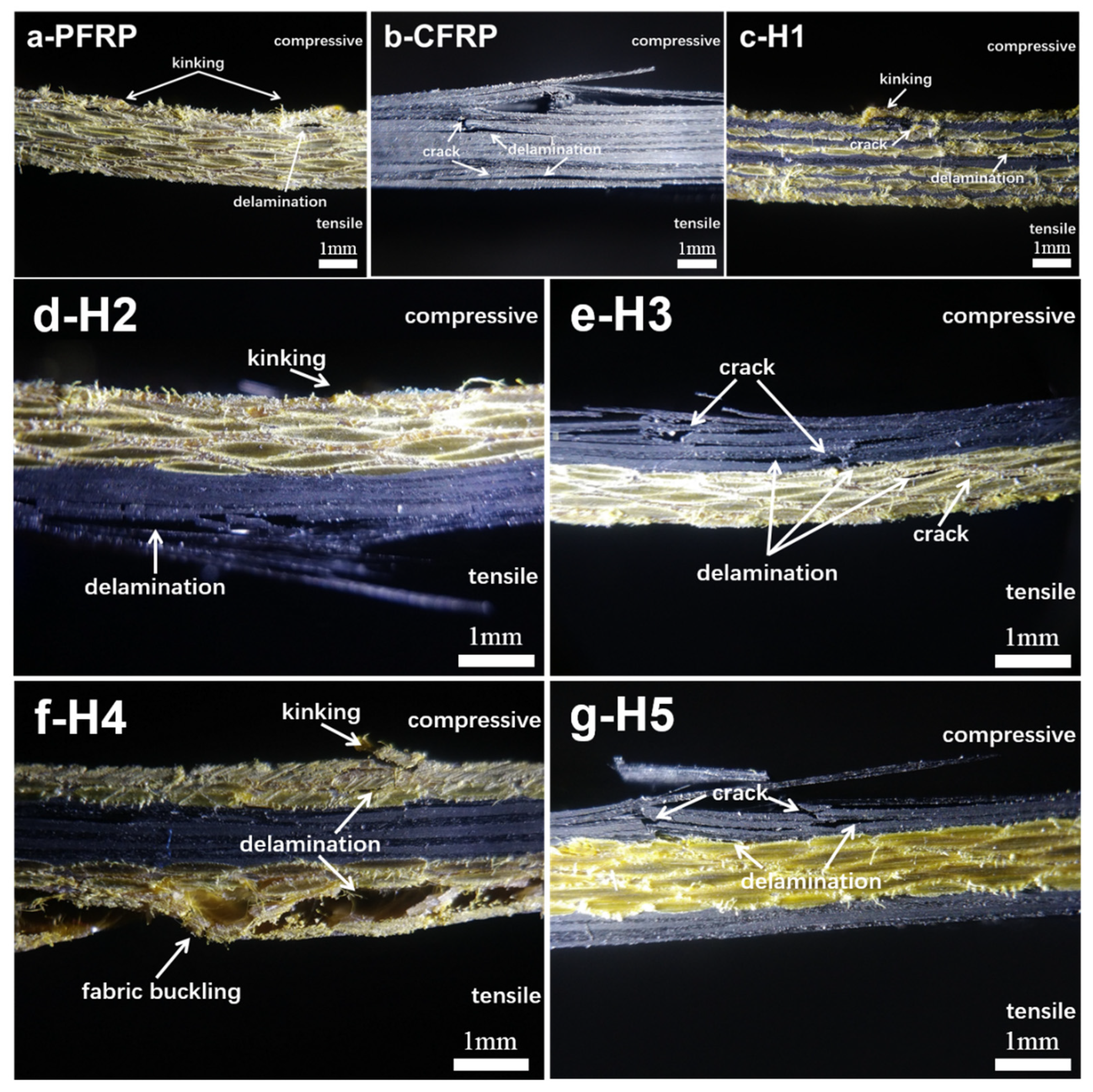 Polymers 13 02599 g004