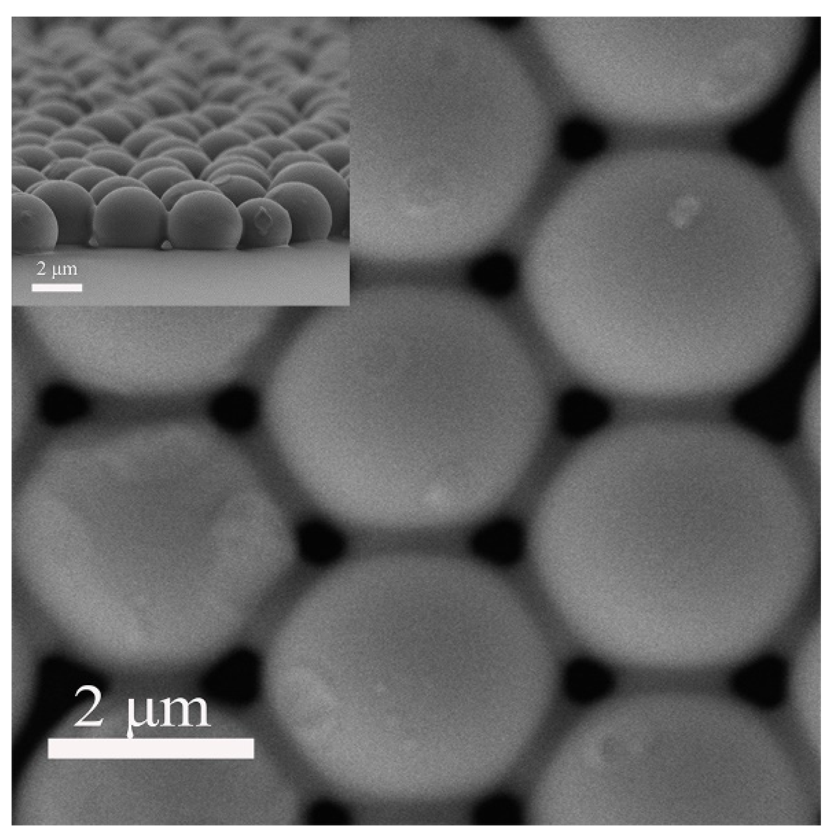 Polymers 13 02602 g001 550