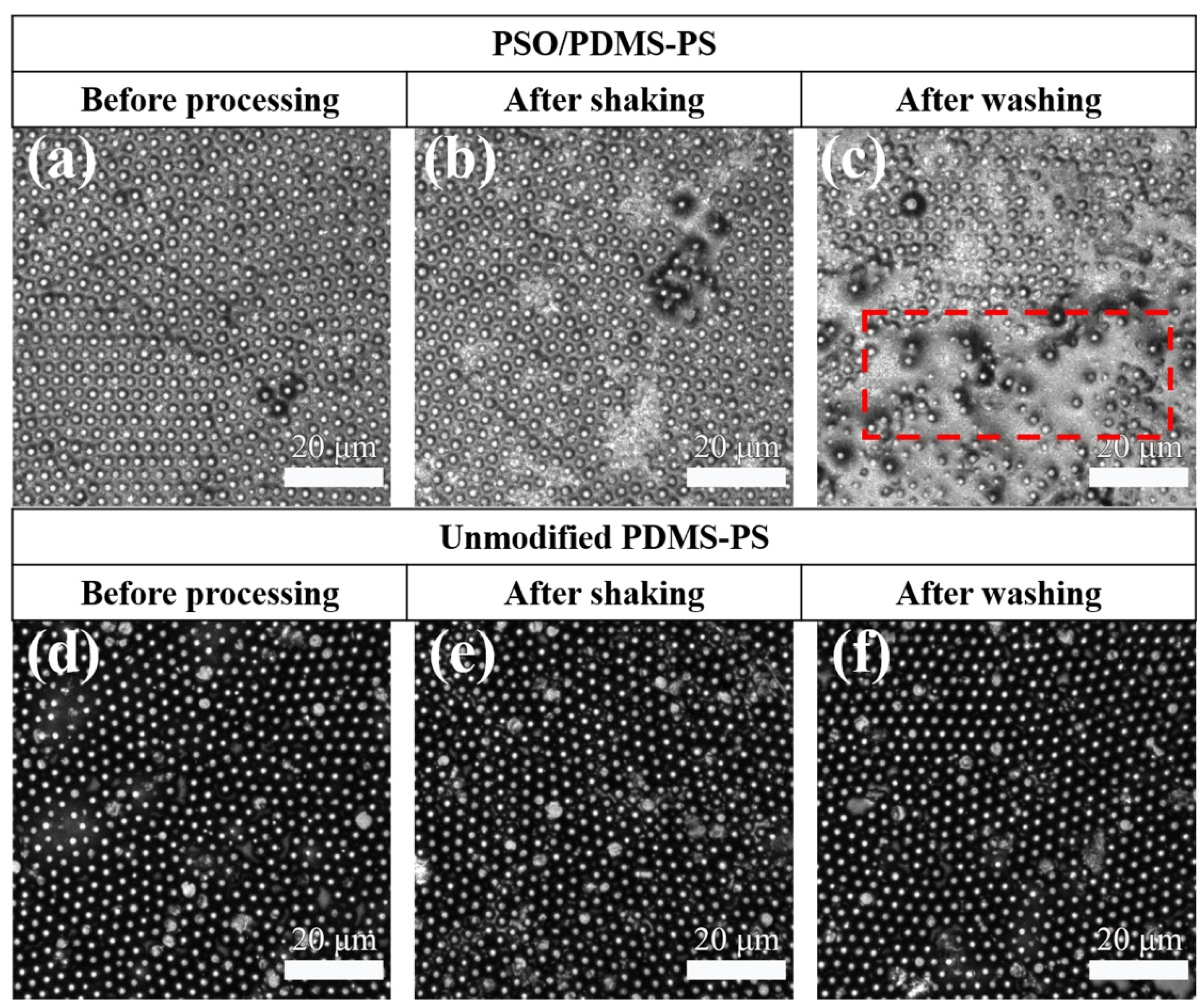 Polymers 13 02602 g002 550