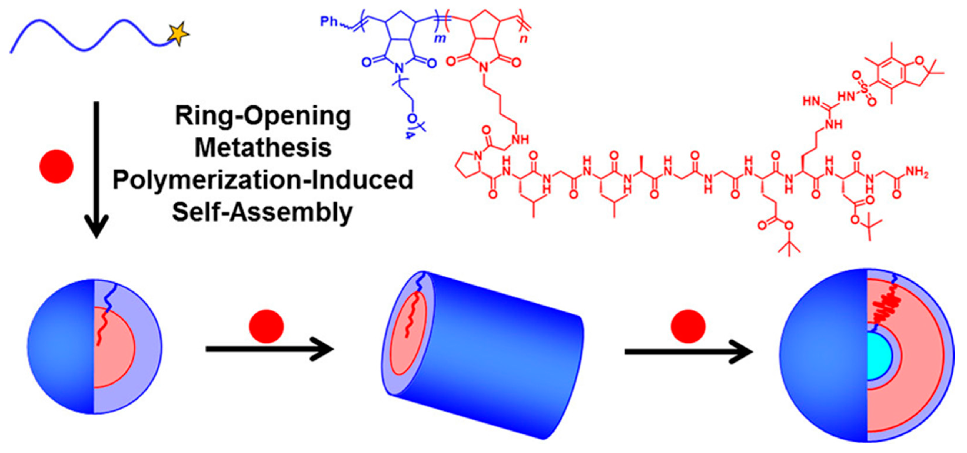 Polymers 13 02603 g003