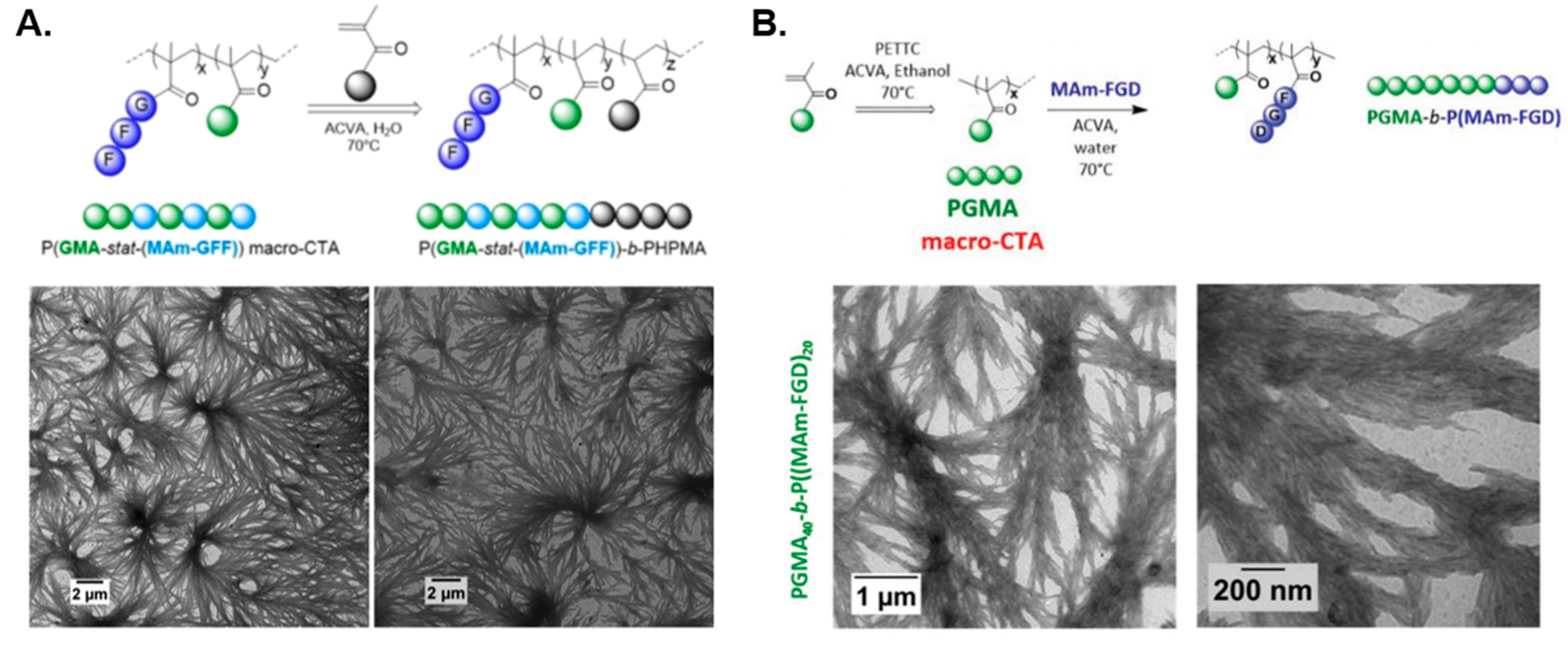 Polymers 13 02603 g004
