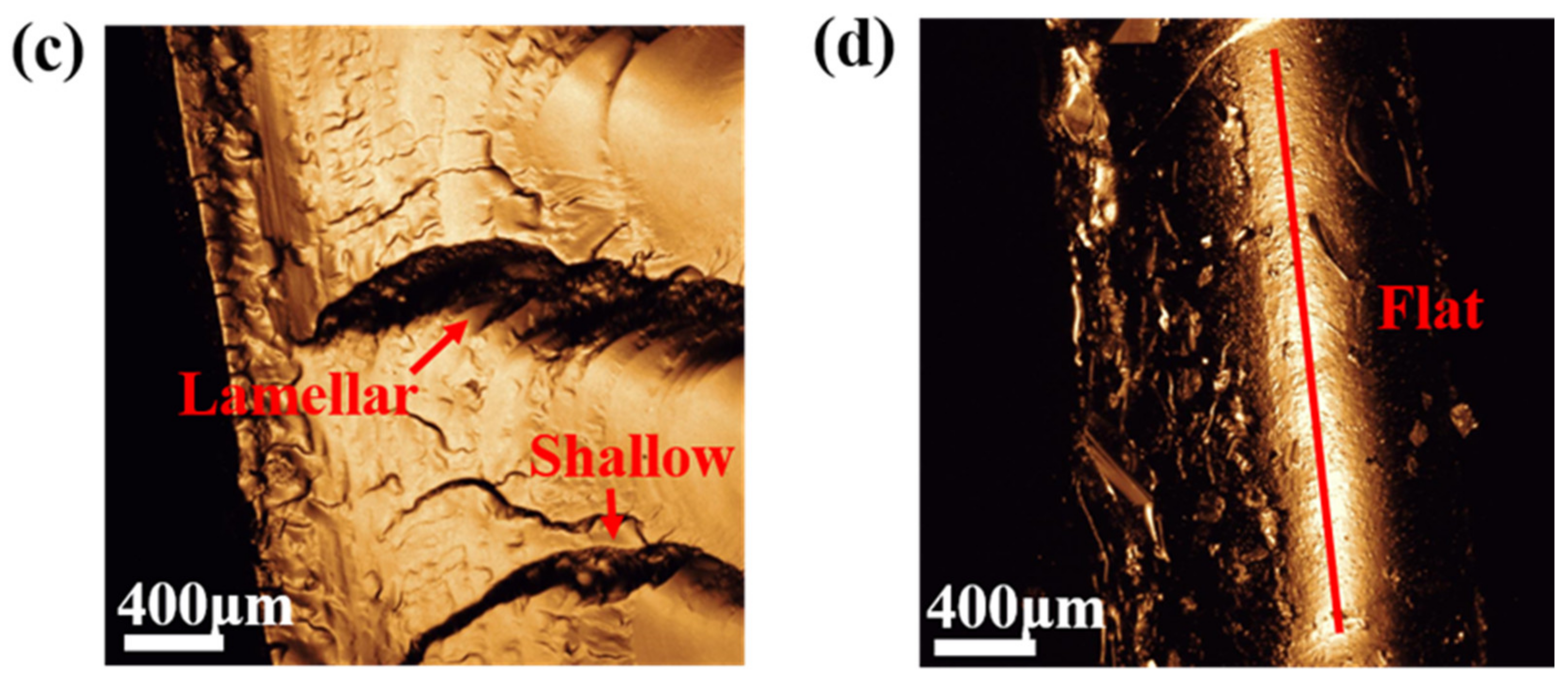 Polymers 13 02605 g016b 550