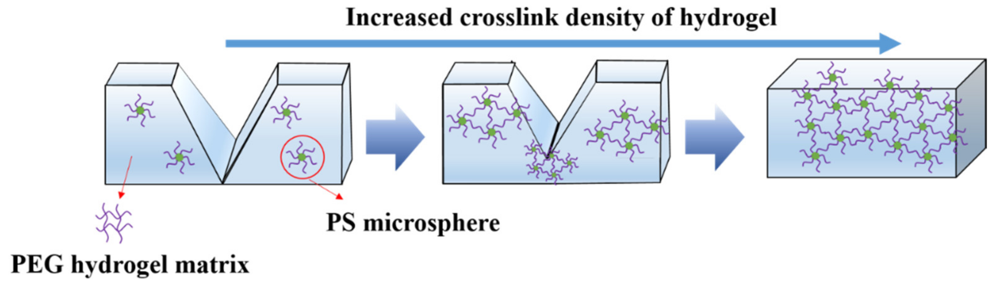 Polymers 13 02605 g017 550