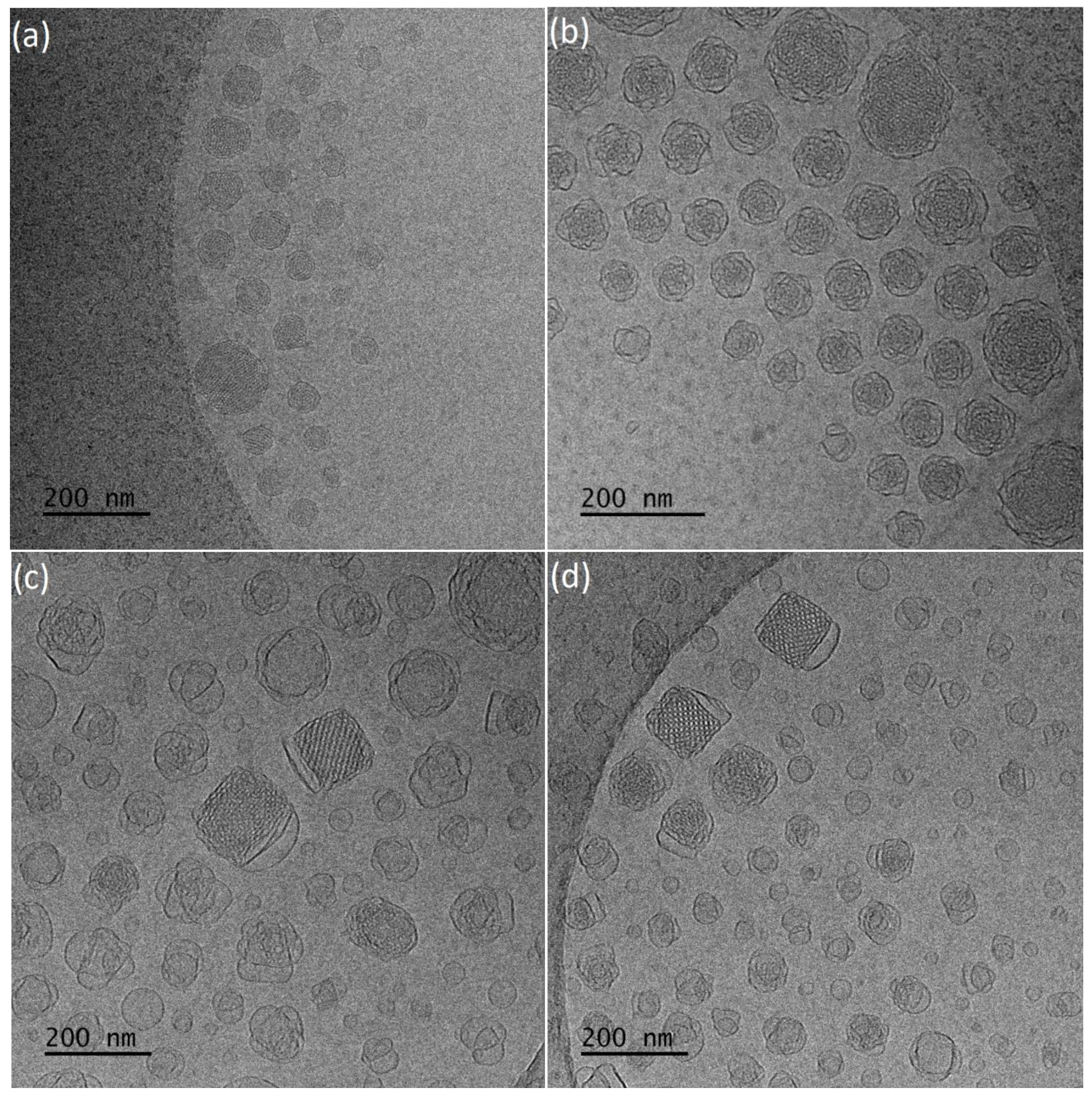 Polymers 13 02607 g002 550