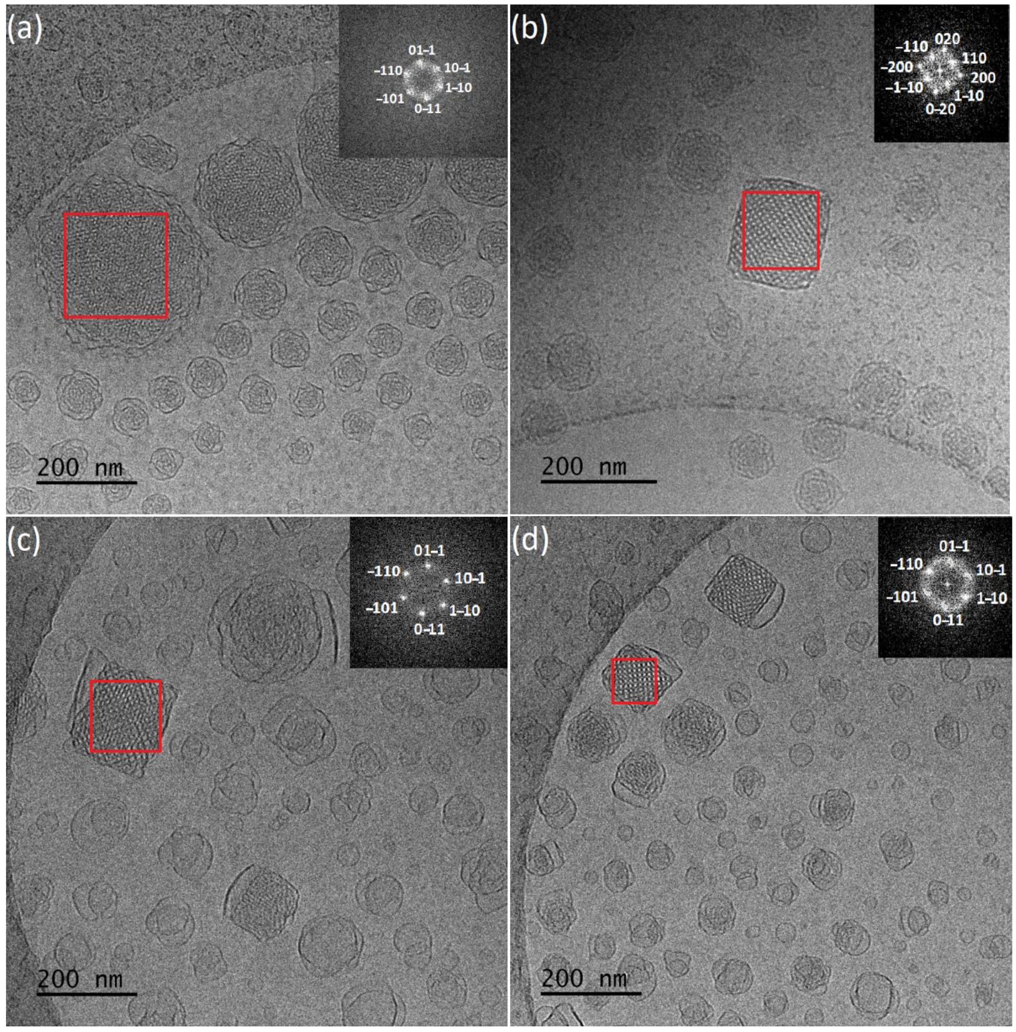 Polymers 13 02607 g003 550
