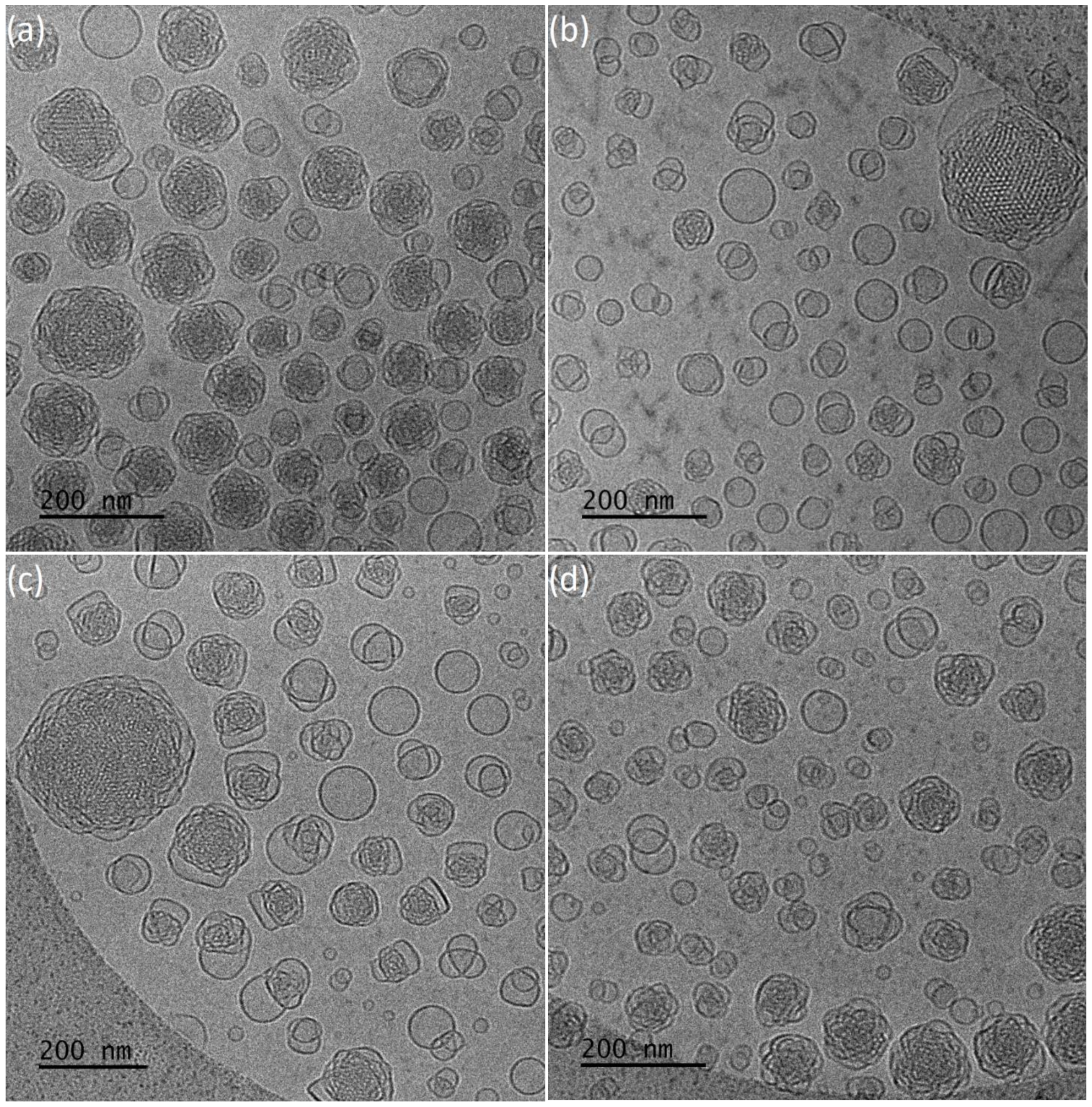 Polymers 13 02607 g004 550