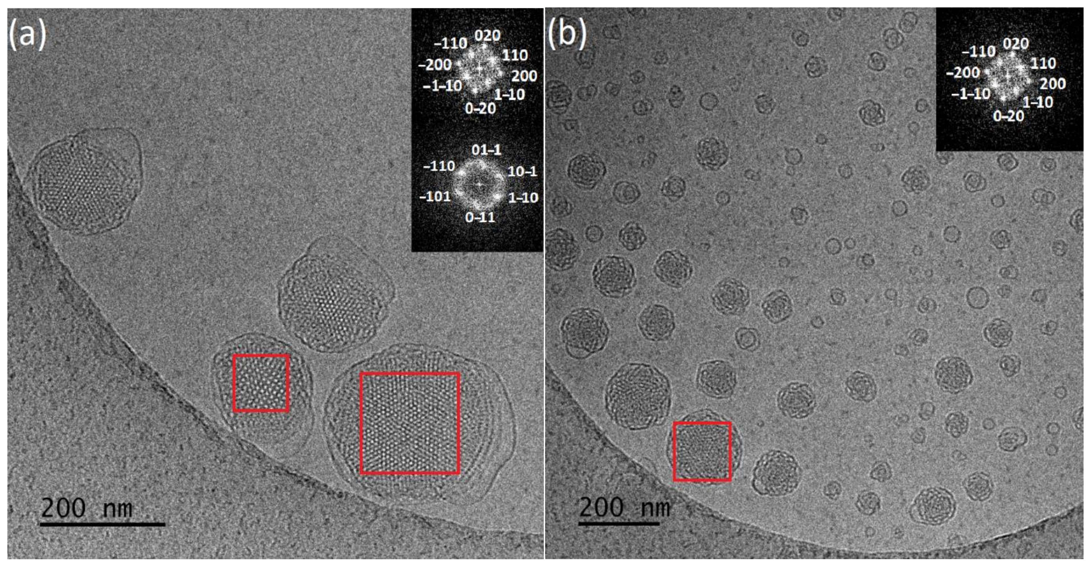 Polymers 13 02607 g005 550