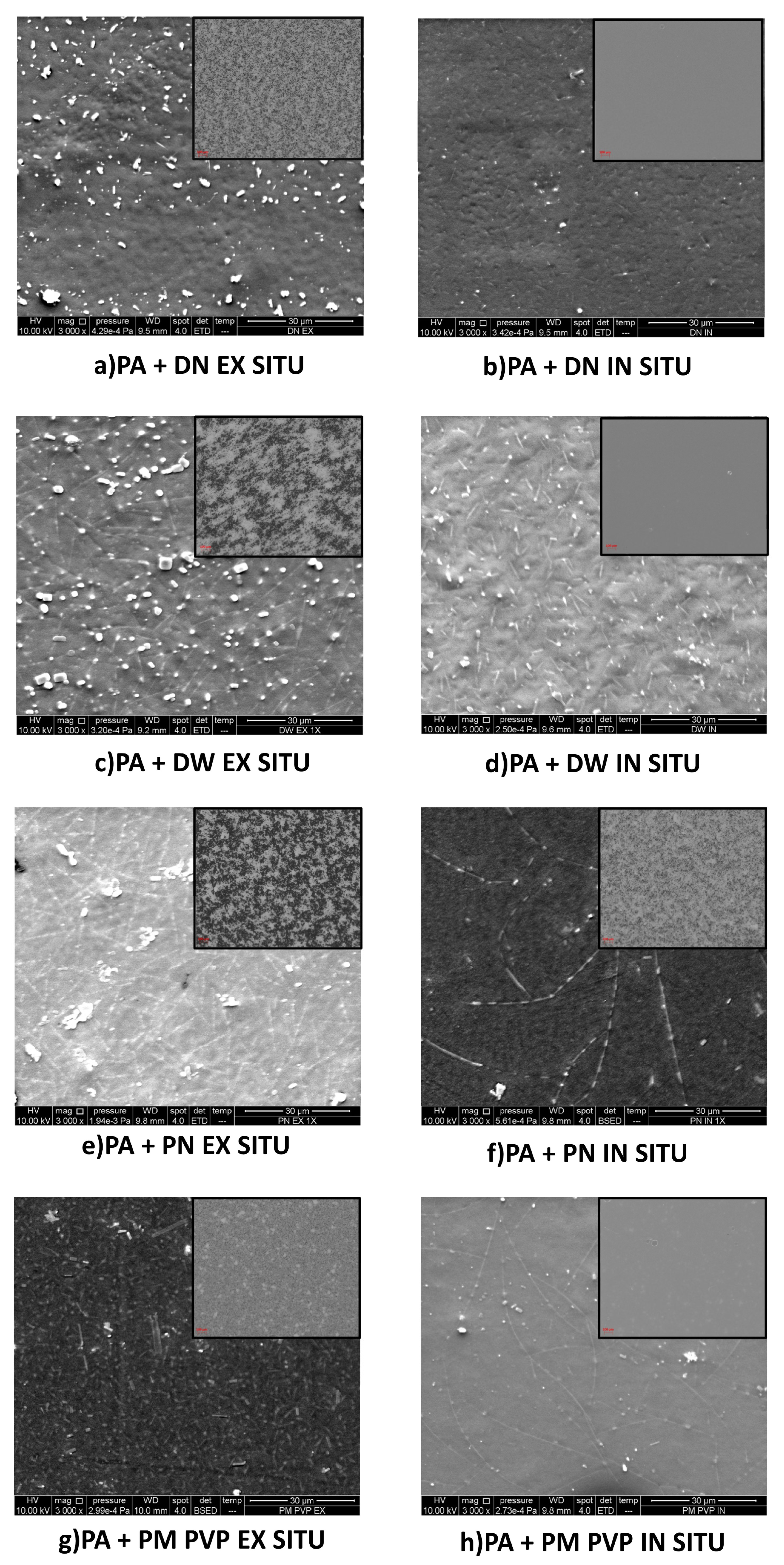 Polymers 13 02609 g004 Polymers 13 02609 g004