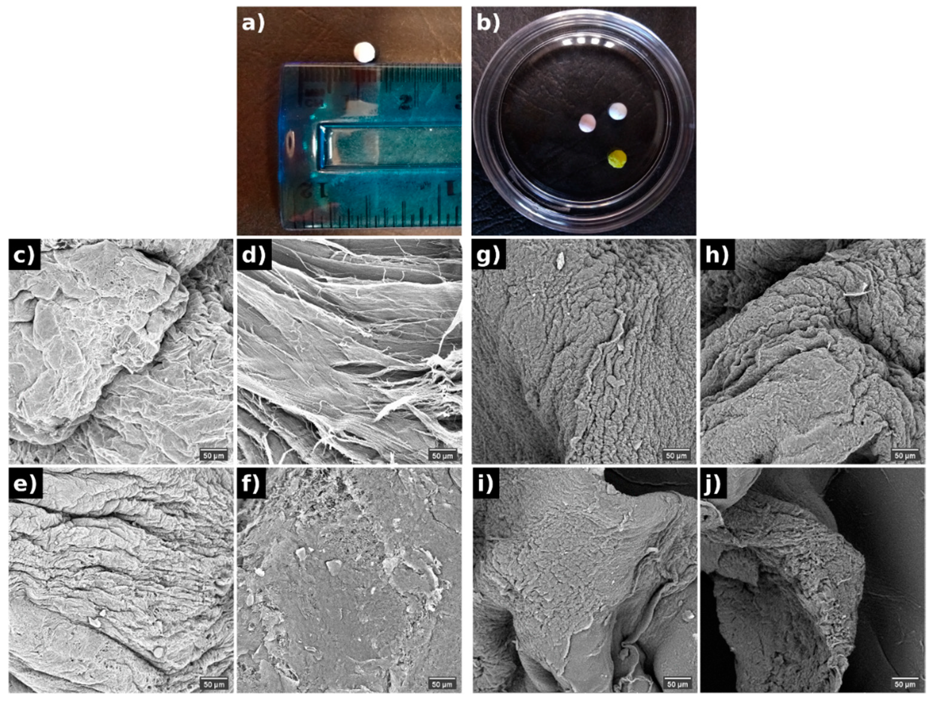 Polymers 13 02611 g001 550
