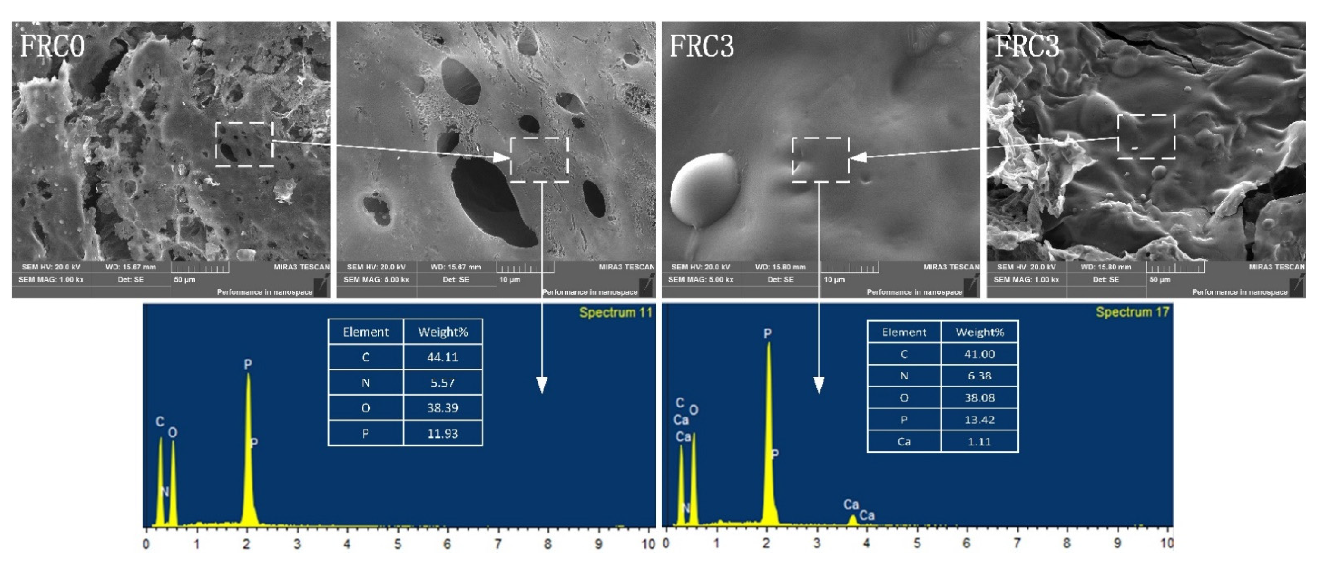 Polymers 13 02620 g006