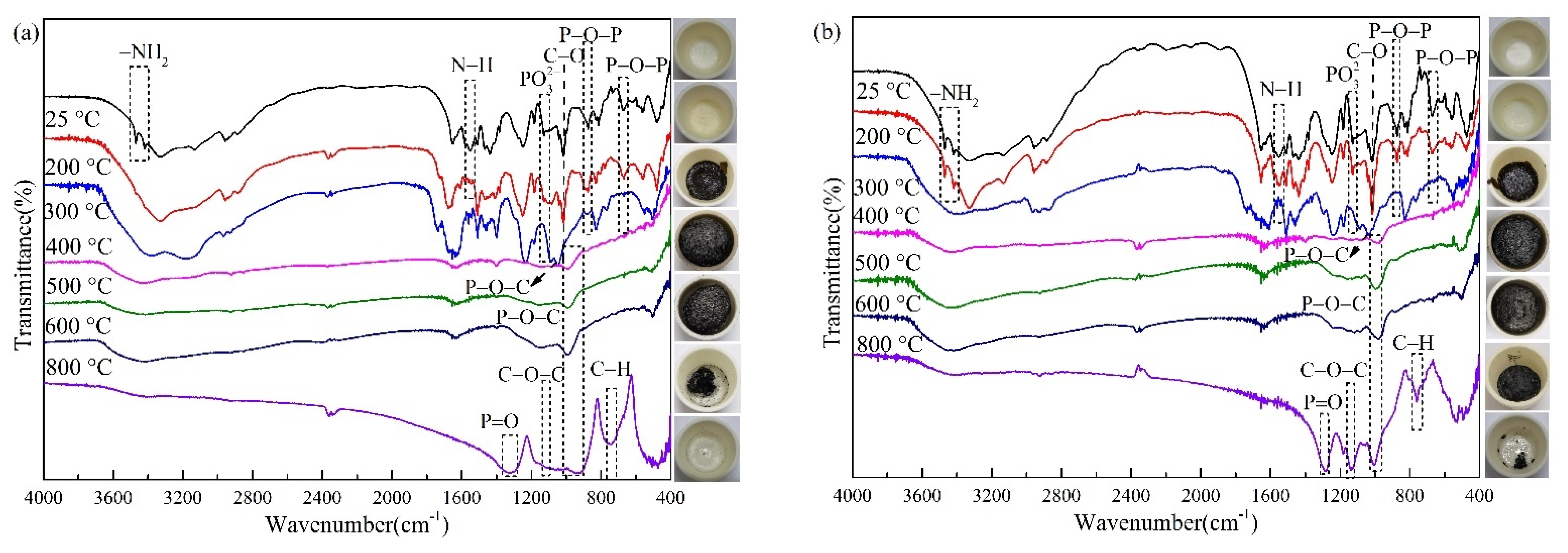 Polymers 13 02620 g018